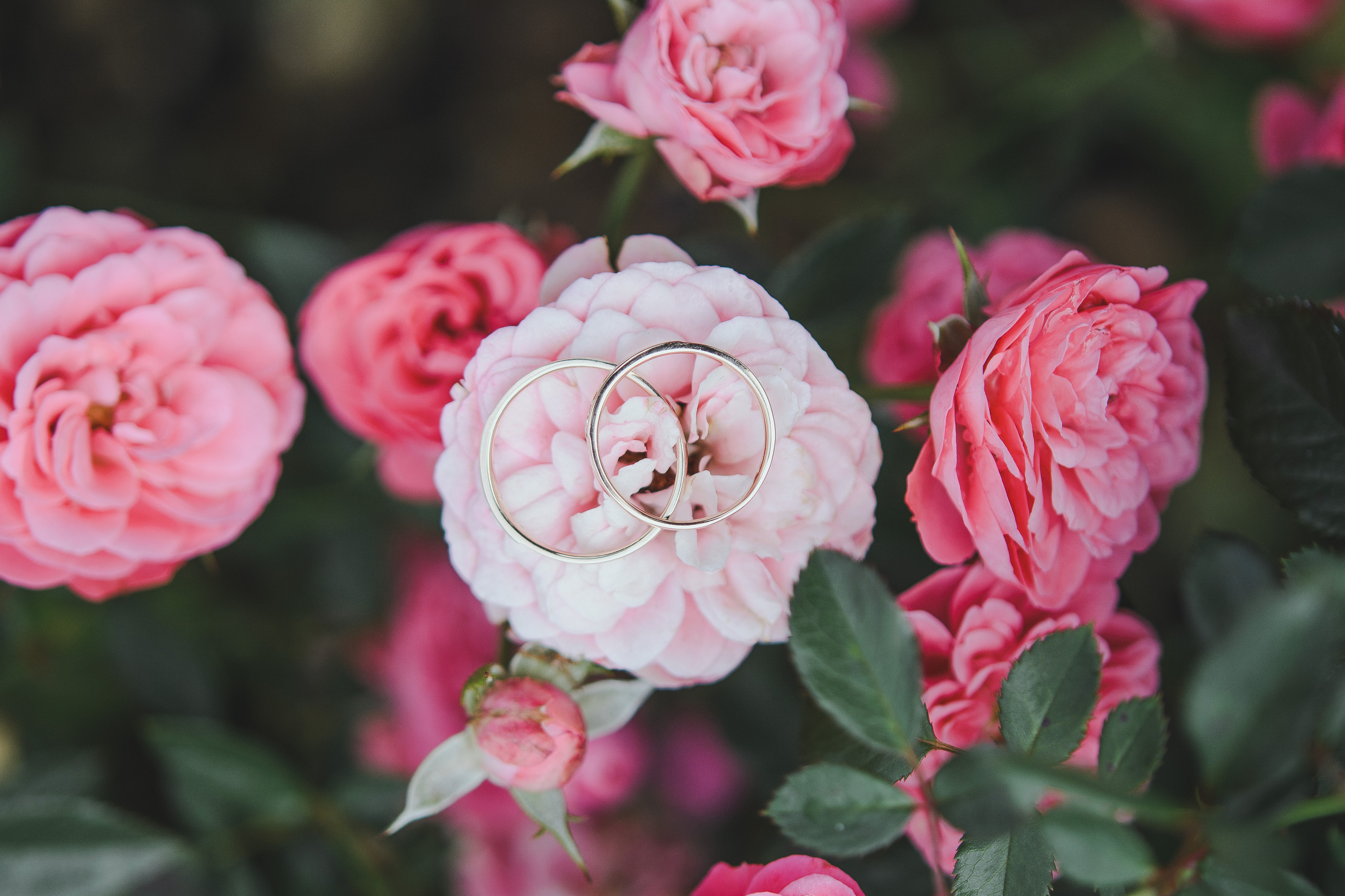Свадьбы. Анна Абрамкина душевный фотограф в Москве