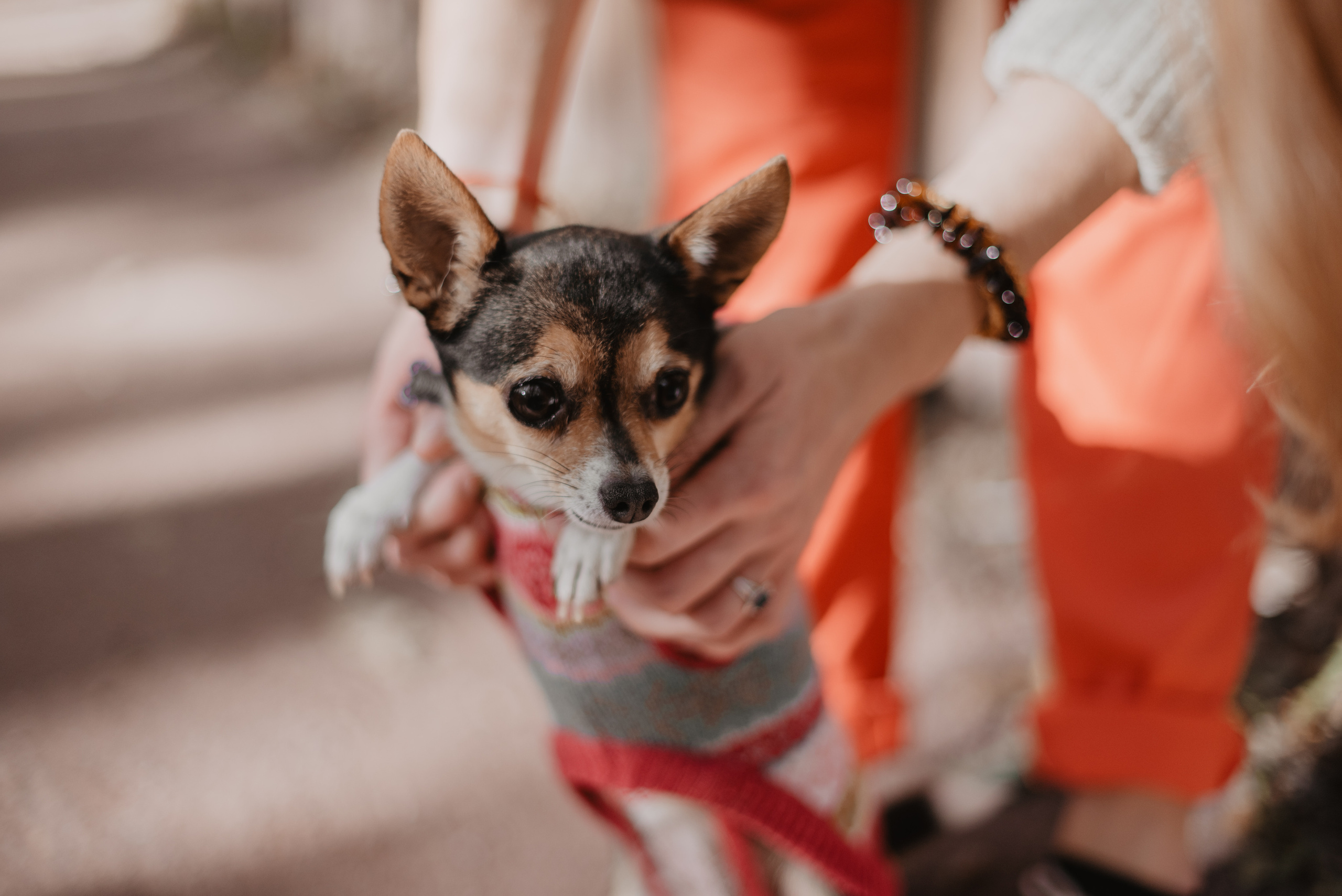 Индивидуальные съёмки. Анна Абрамкина душевный фотограф в Москве