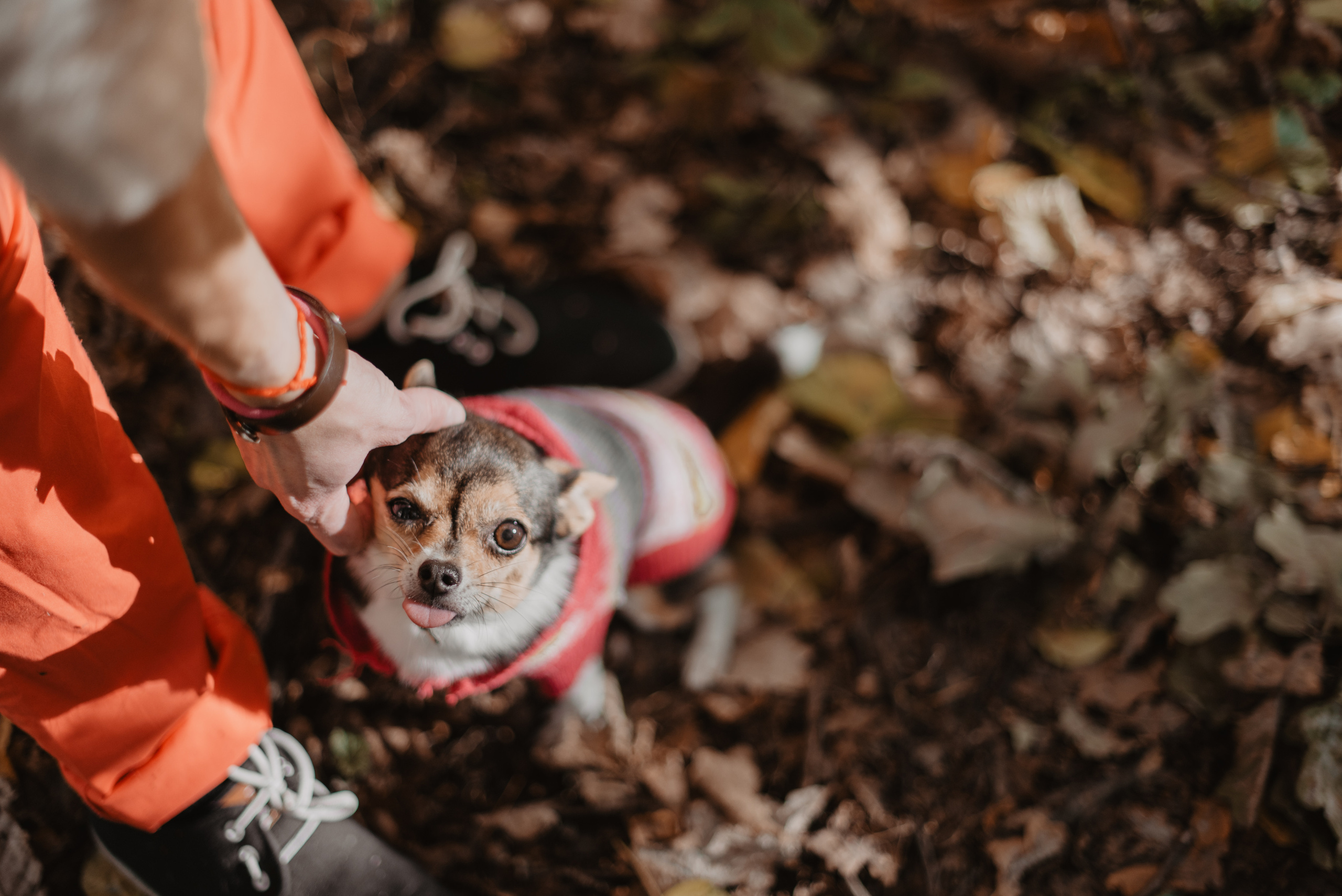 Индивидуальные съёмки. Анна Абрамкина душевный фотограф в Москве