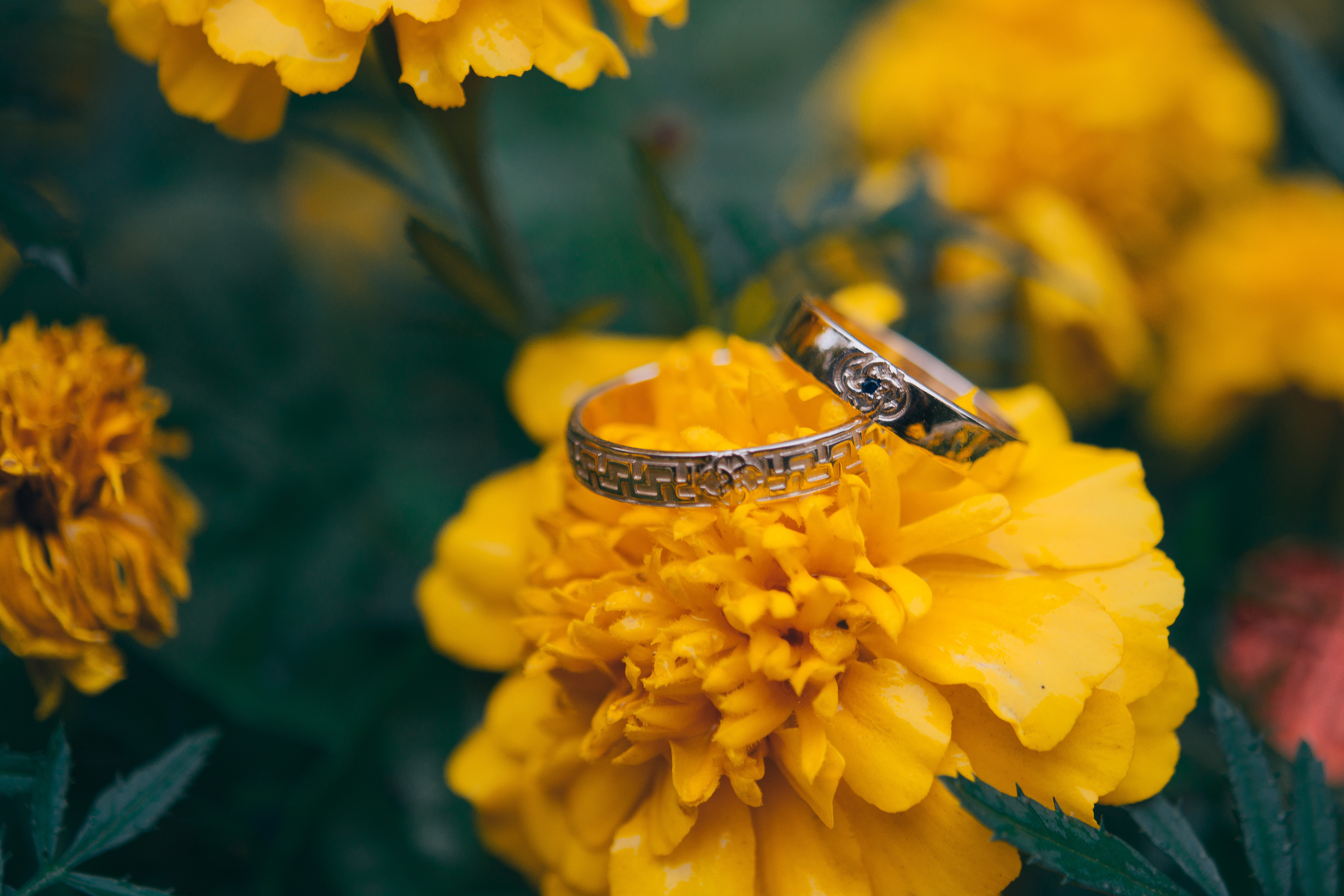 Свадьбы. Анна Абрамкина душевный фотограф в Москве