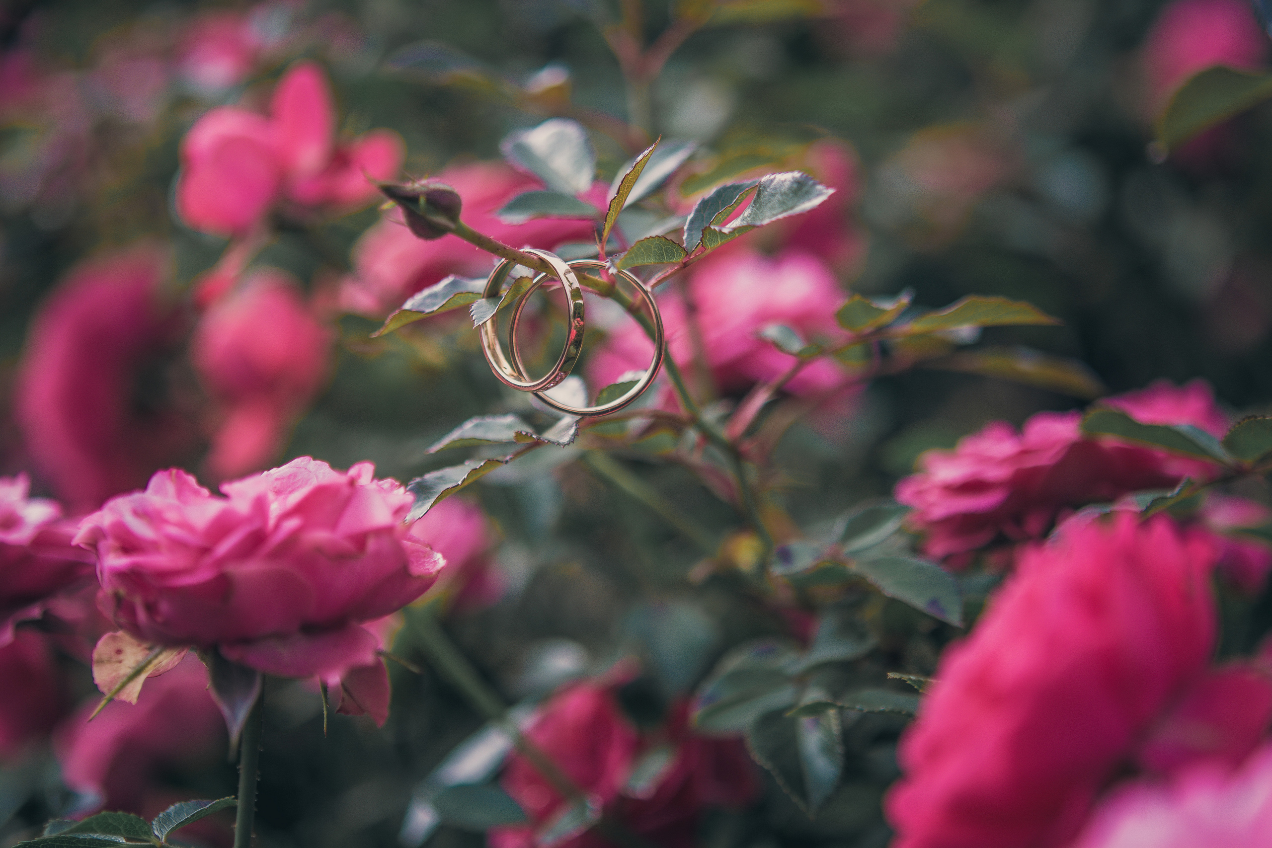 Свадьбы. Анна Абрамкина душевный фотограф в Москве