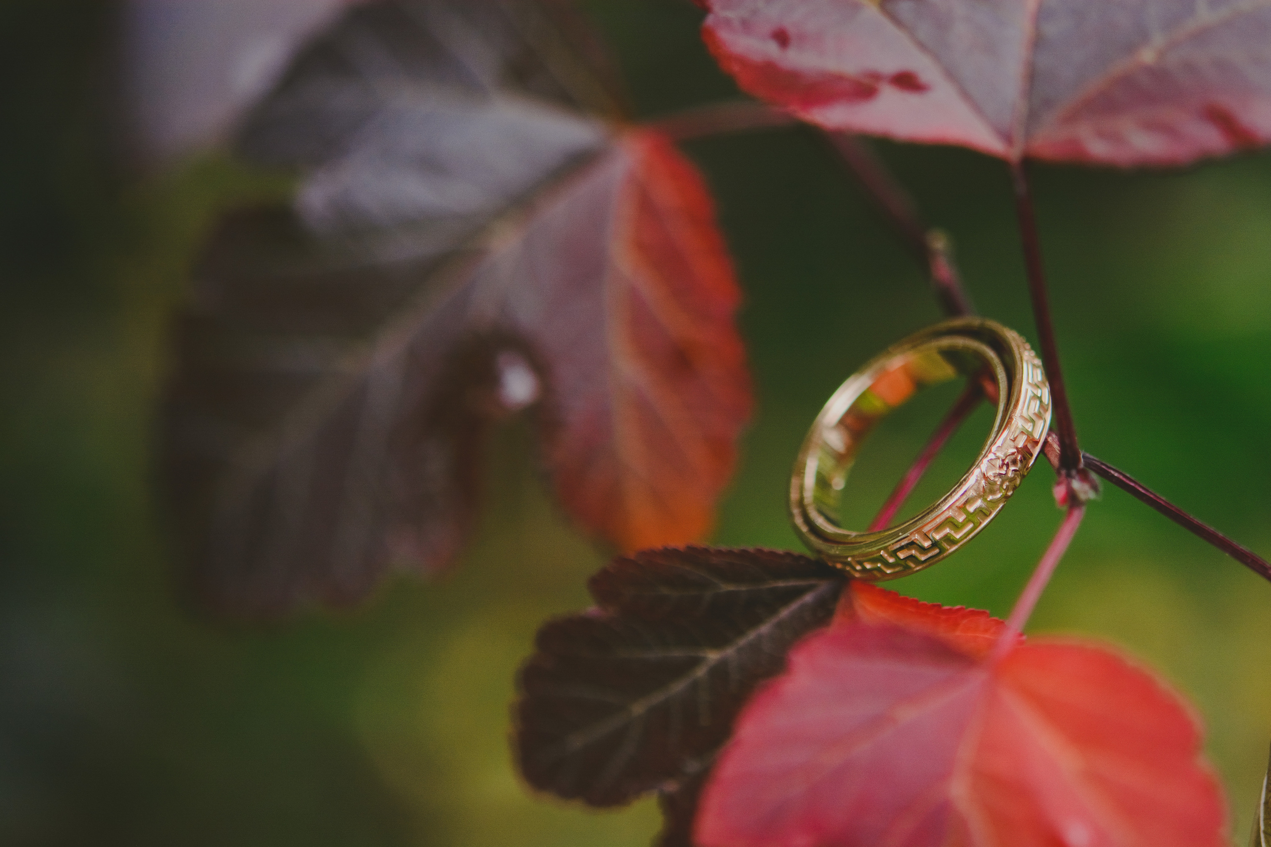 Свадьбы. Анна Абрамкина душевный фотограф в Москве