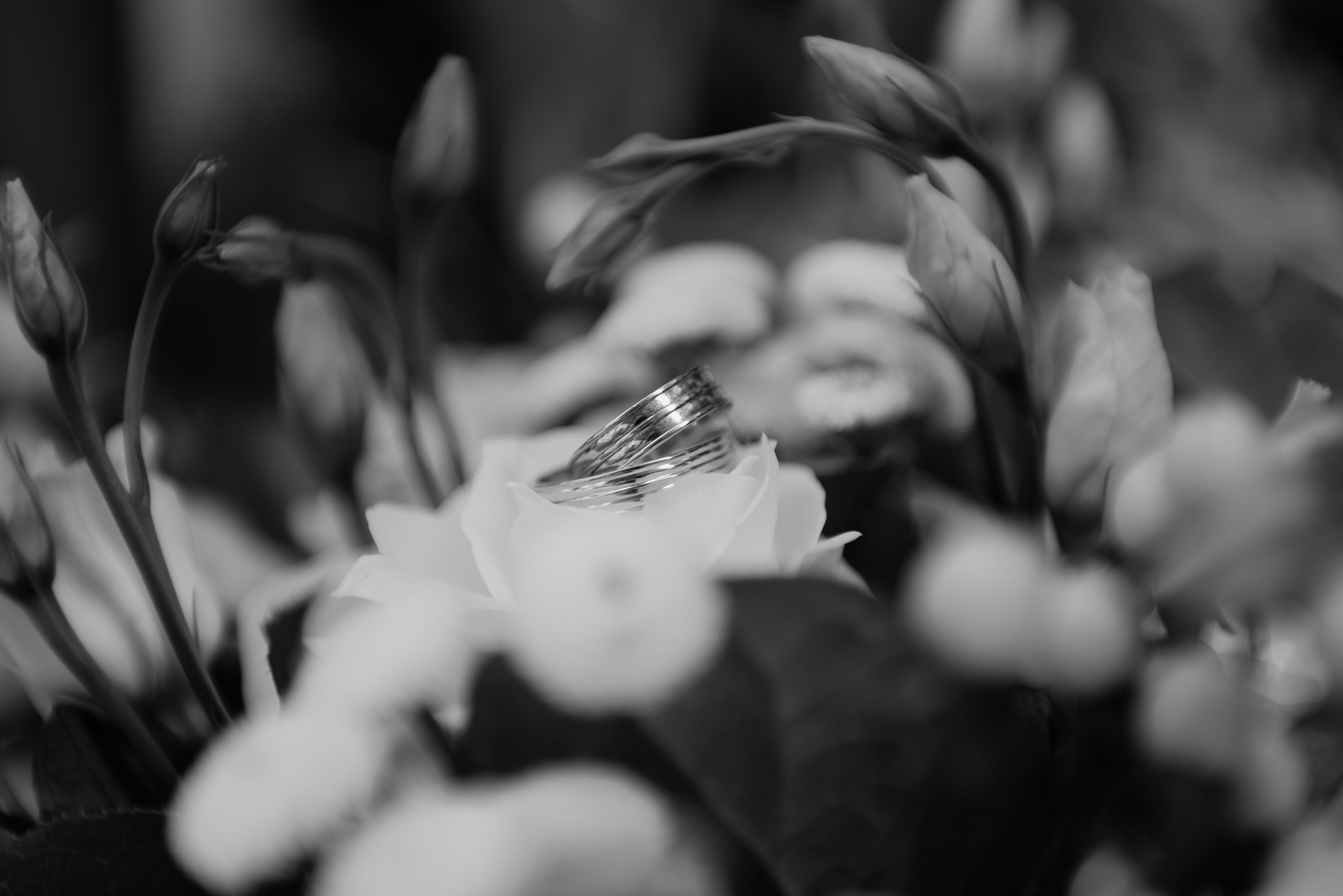 Свадьбы. Анна Абрамкина душевный фотограф в Москве