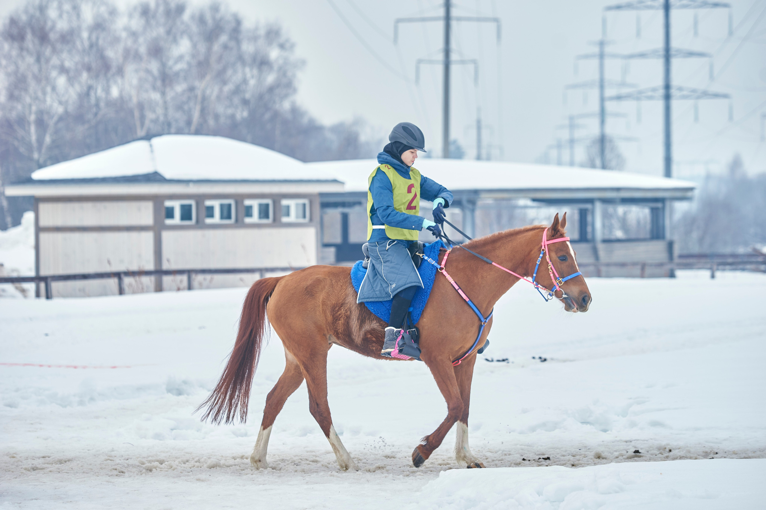 HORSE RACING. Фотограф Наталья Леонова