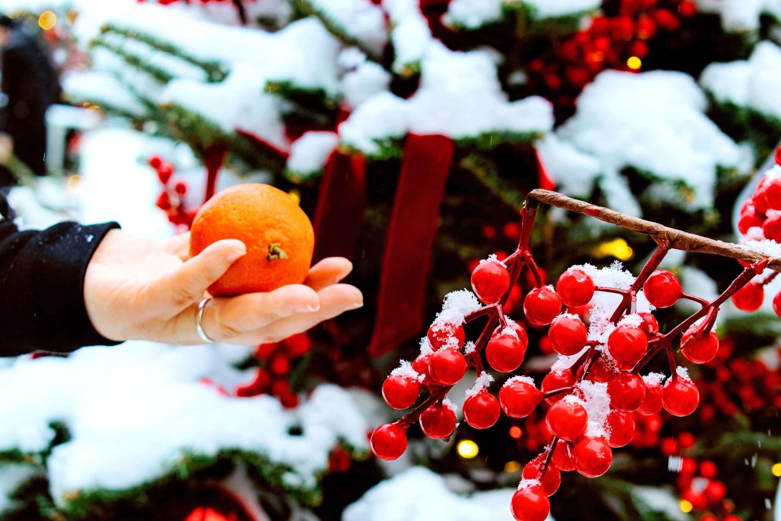 11.01 2026 Фото прогулка в парке Горького. Главная