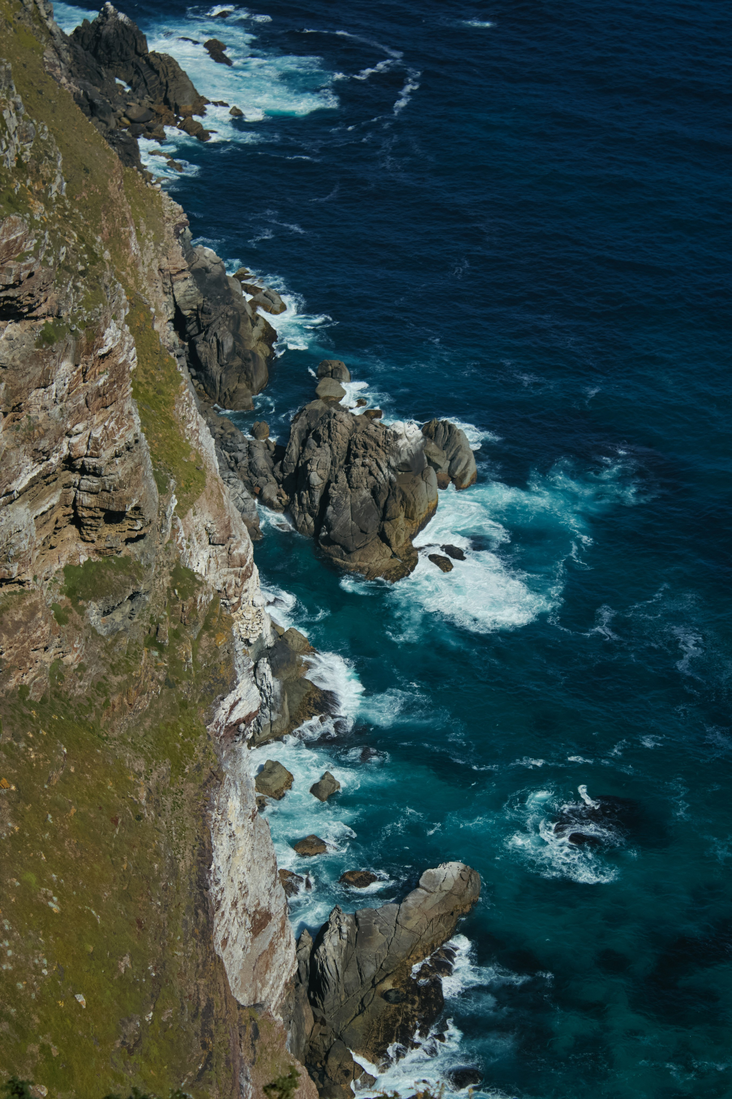 ЮАР. Профессиональный Фотограф во Владимире, в Москве и в Суздале — Полина Романычева