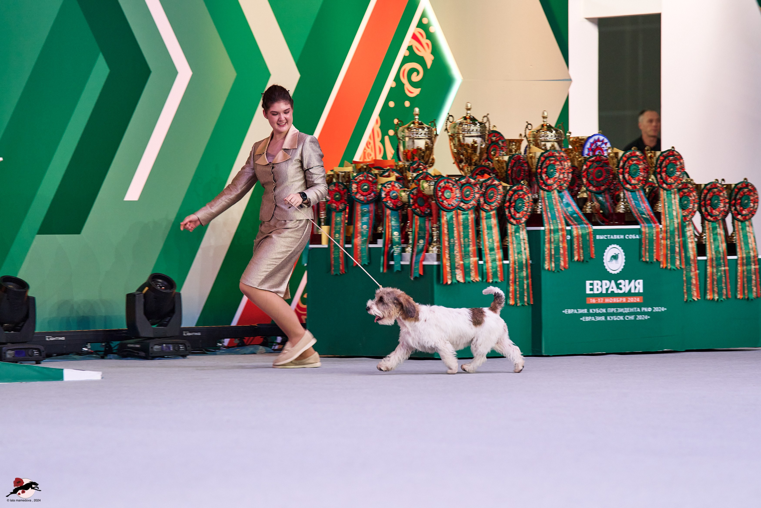 17.11.2024 «ЕВРАЗИЯ. КУБОК СНГ 2024»