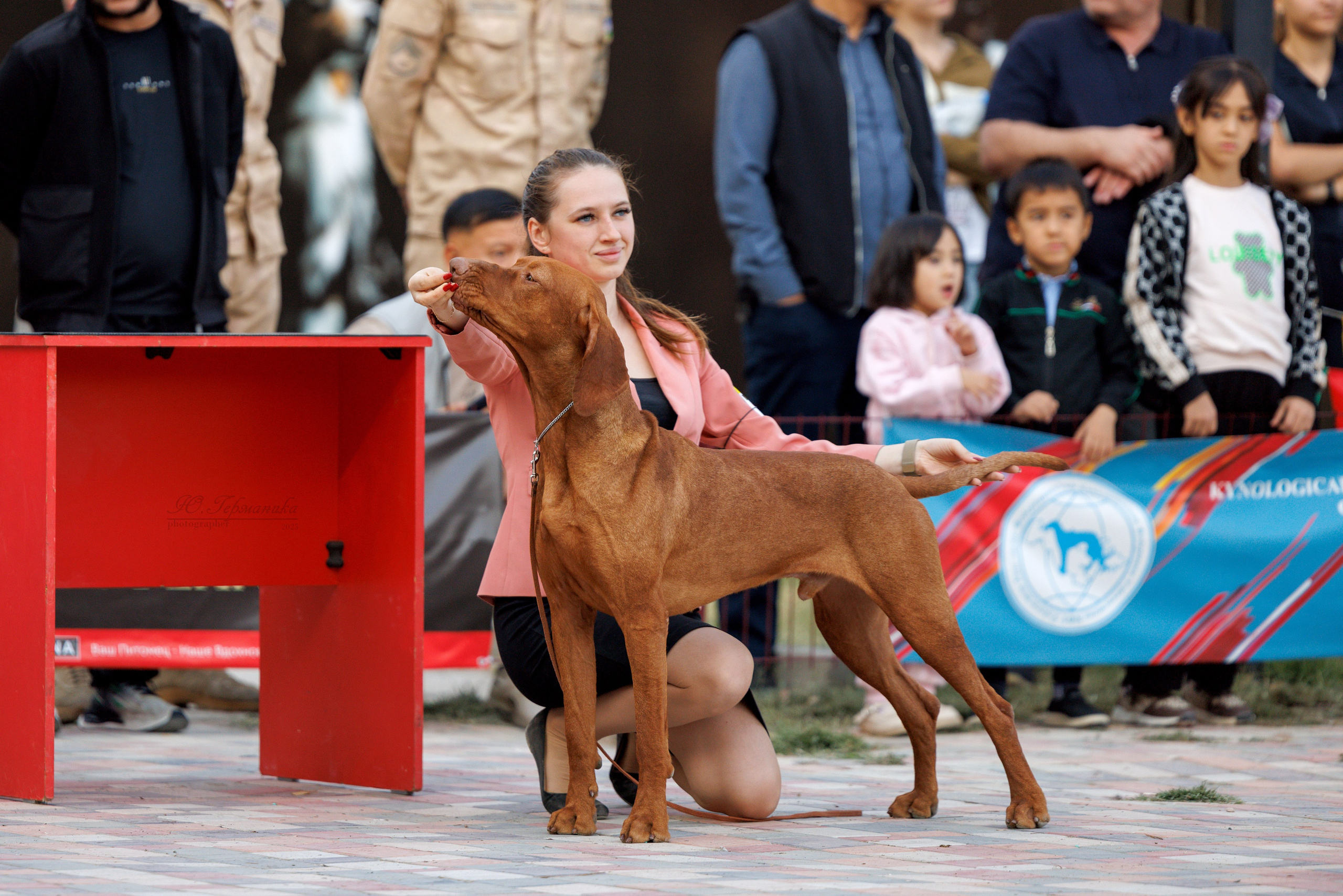 Ташкент 3хCACIB 3-5.10.2025. Фотограф-анималист Юлия Германика