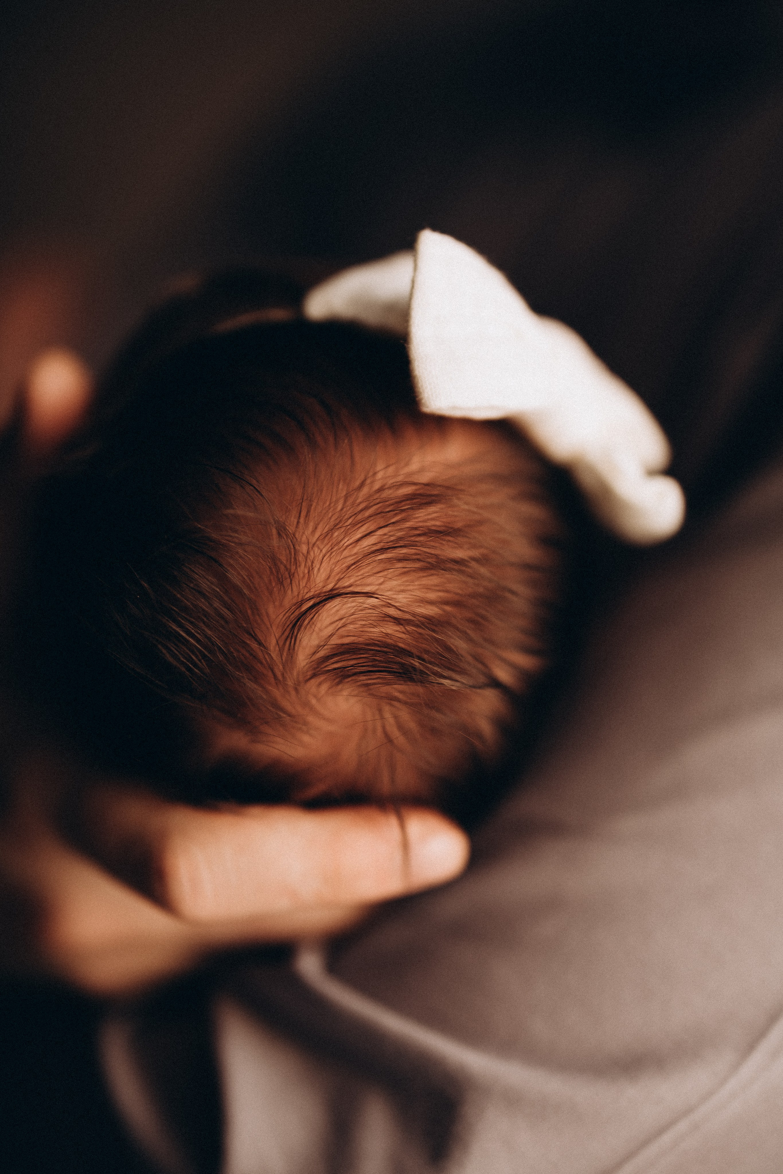 Василиса. Евгения Пелипас