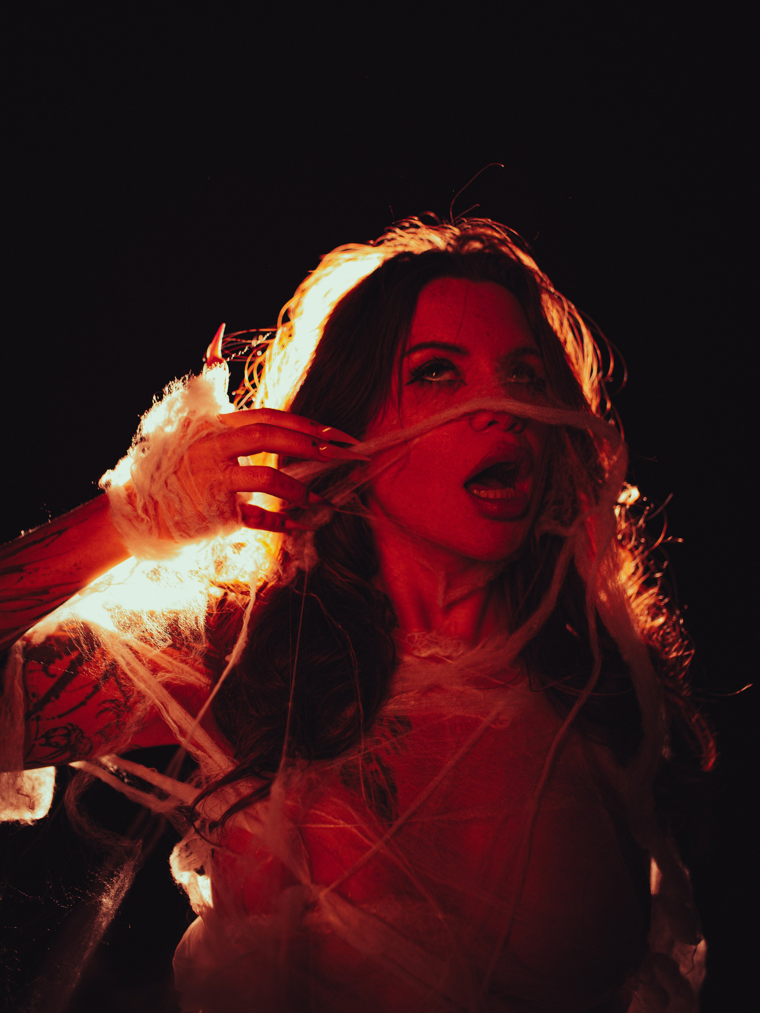 Diibae spider. Фотограф из Санкт-Петербурга Валерия Ленских