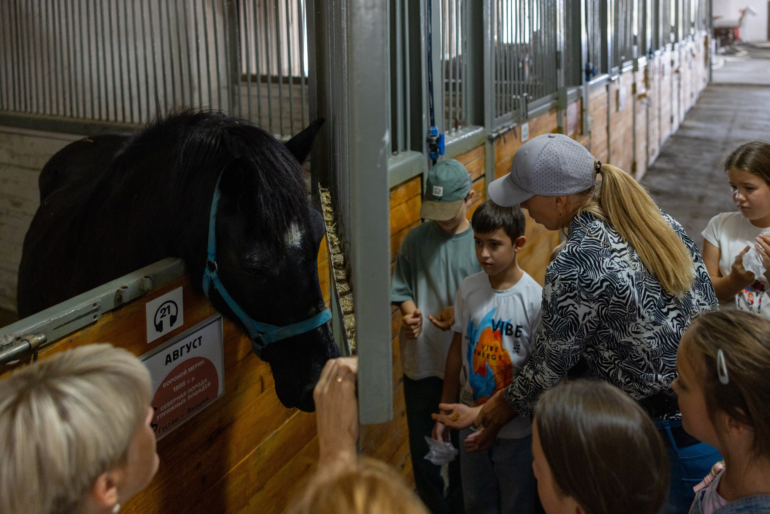 Поездка на поле Кулеково. Фотограф в Туле Крупский АнДРей. Фотостудия «КАДР71» в Туле