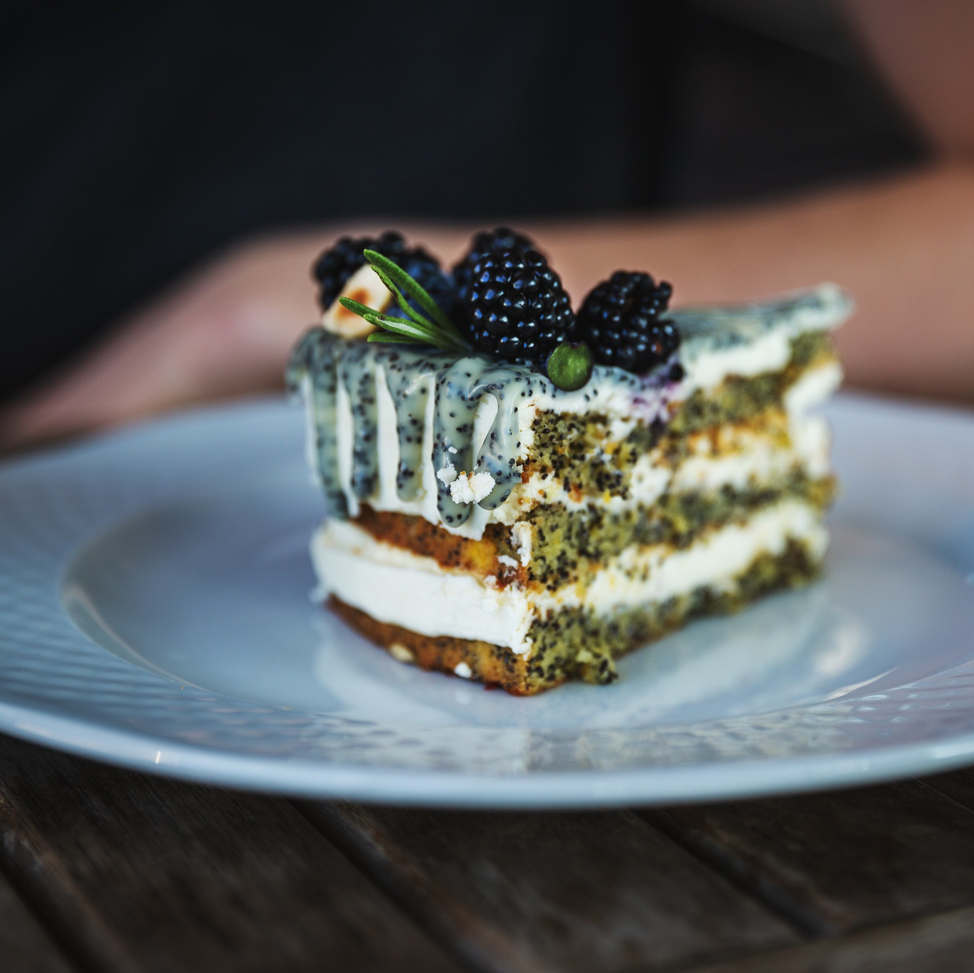 Четвертый кит. OLGA OLEYNIKOVA Пространство, люди, смыслы