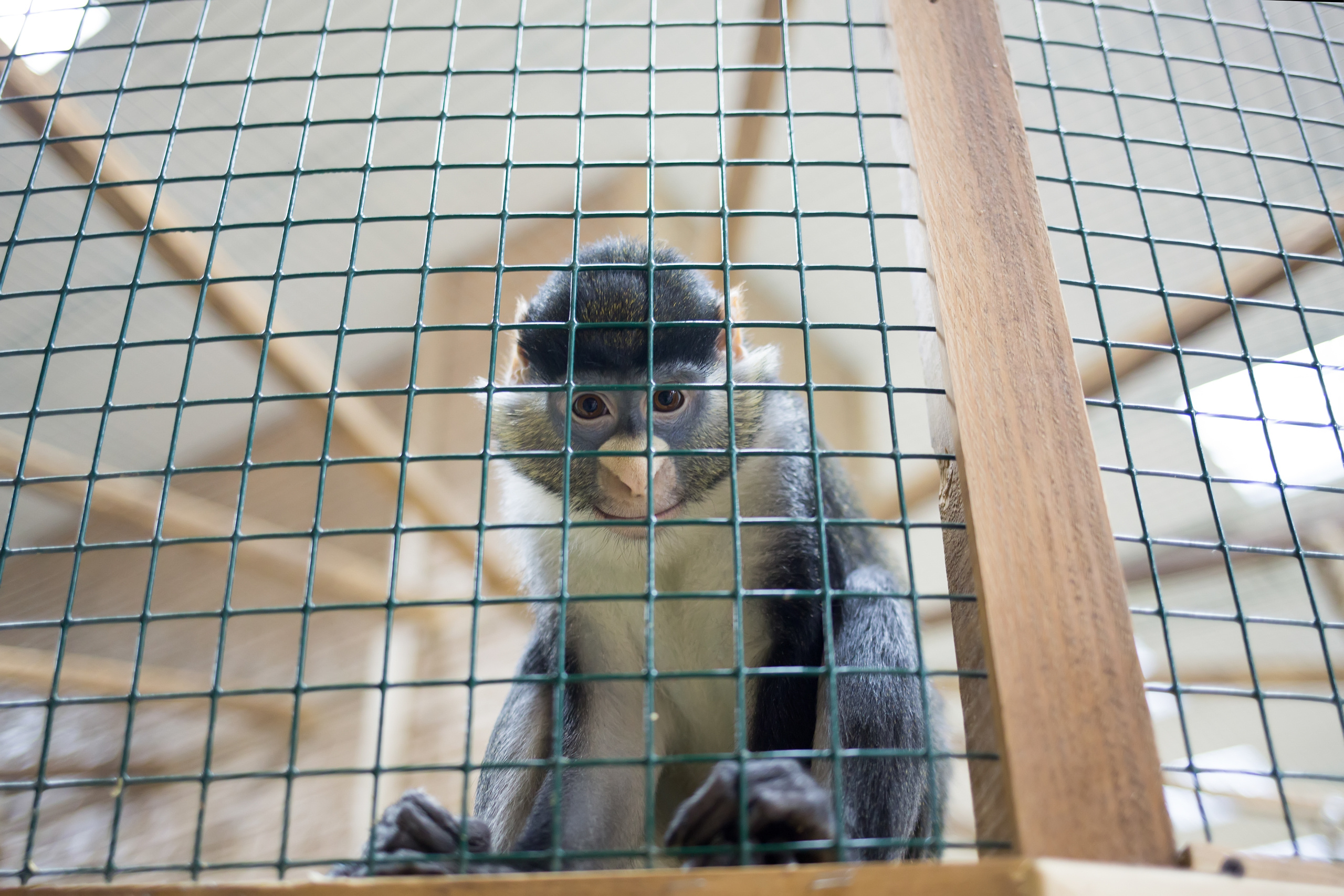 Зоопарк "Зверюшки". Фотограф Сонкина Татьяна