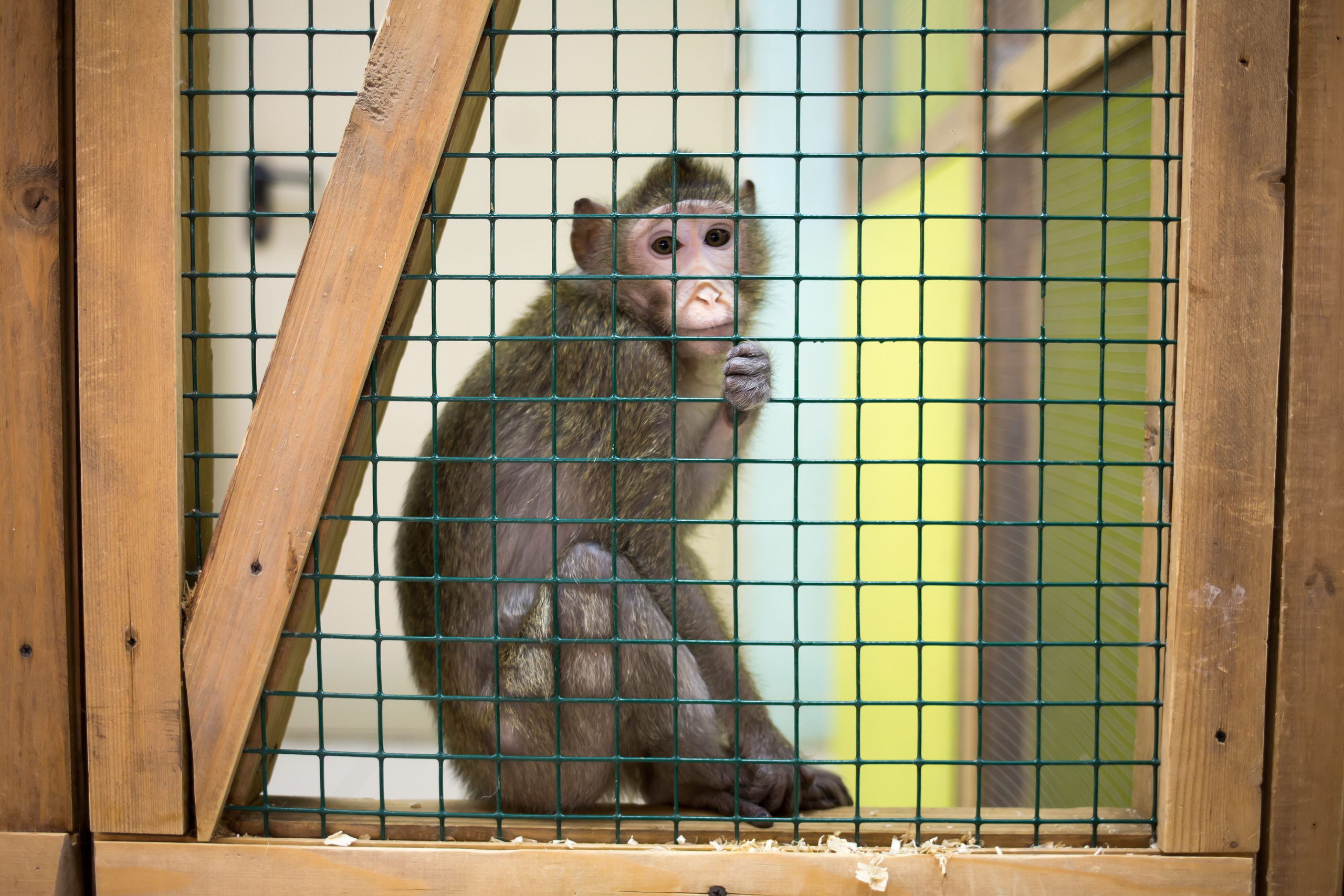 Зоопарк "Зверюшки". Фотограф Сонкина Татьяна