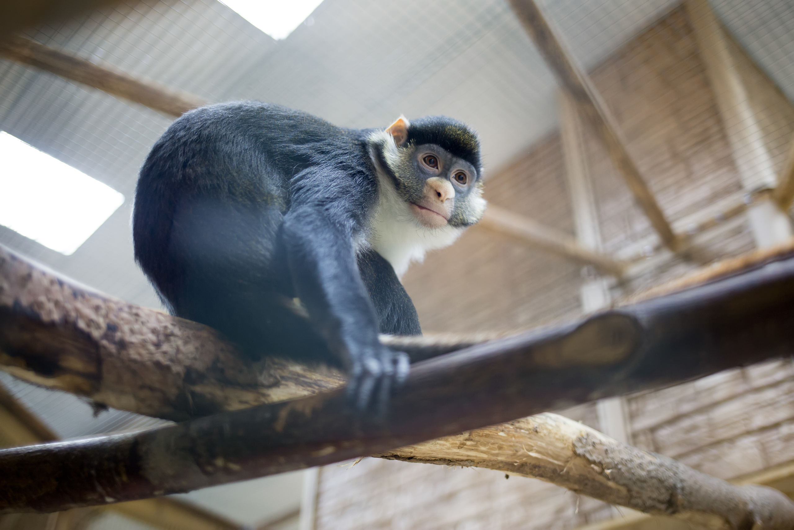 Зоопарк "Зверюшки". Фотограф Сонкина Татьяна