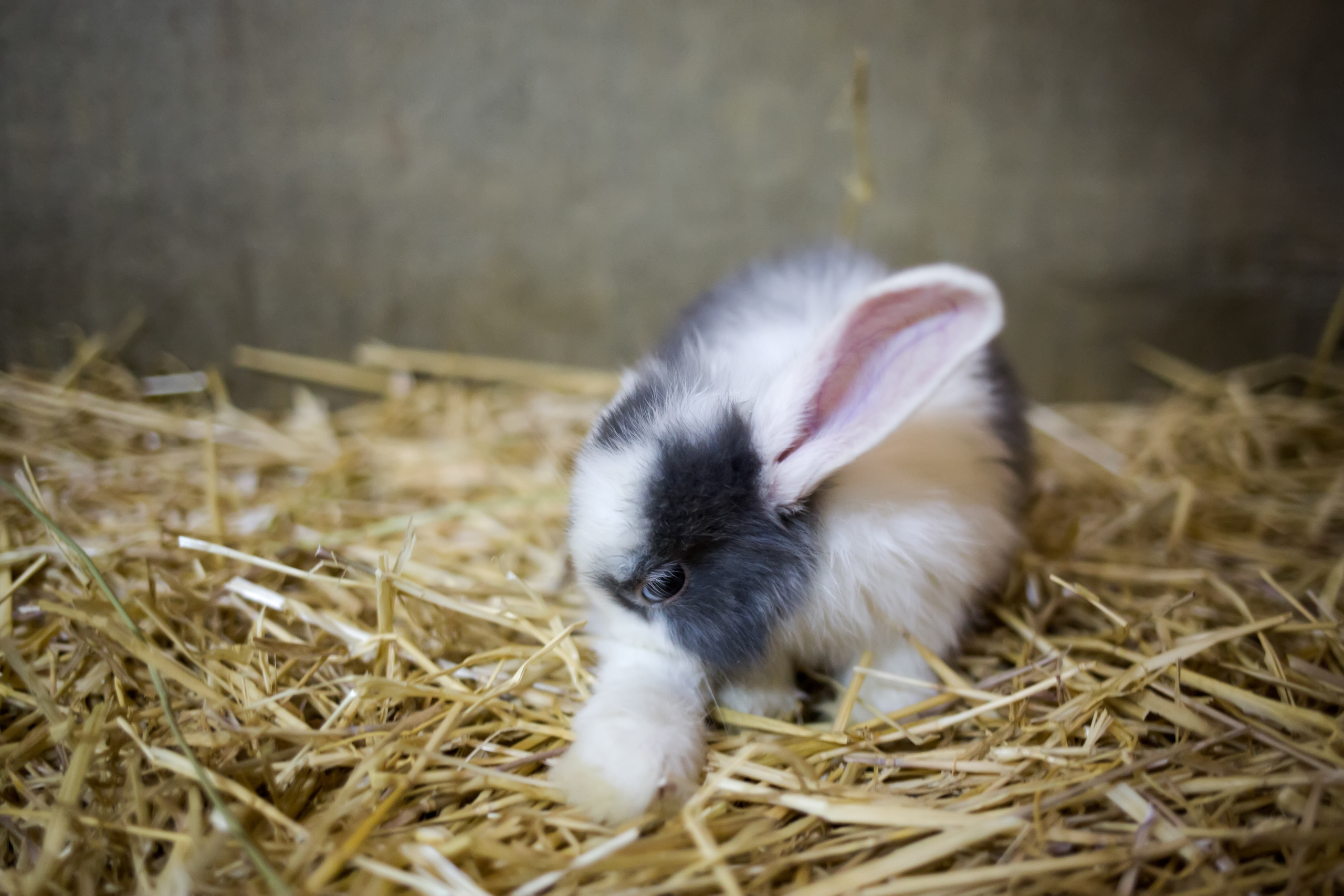 Зоопарк "Зверюшки". Фотограф Сонкина Татьяна