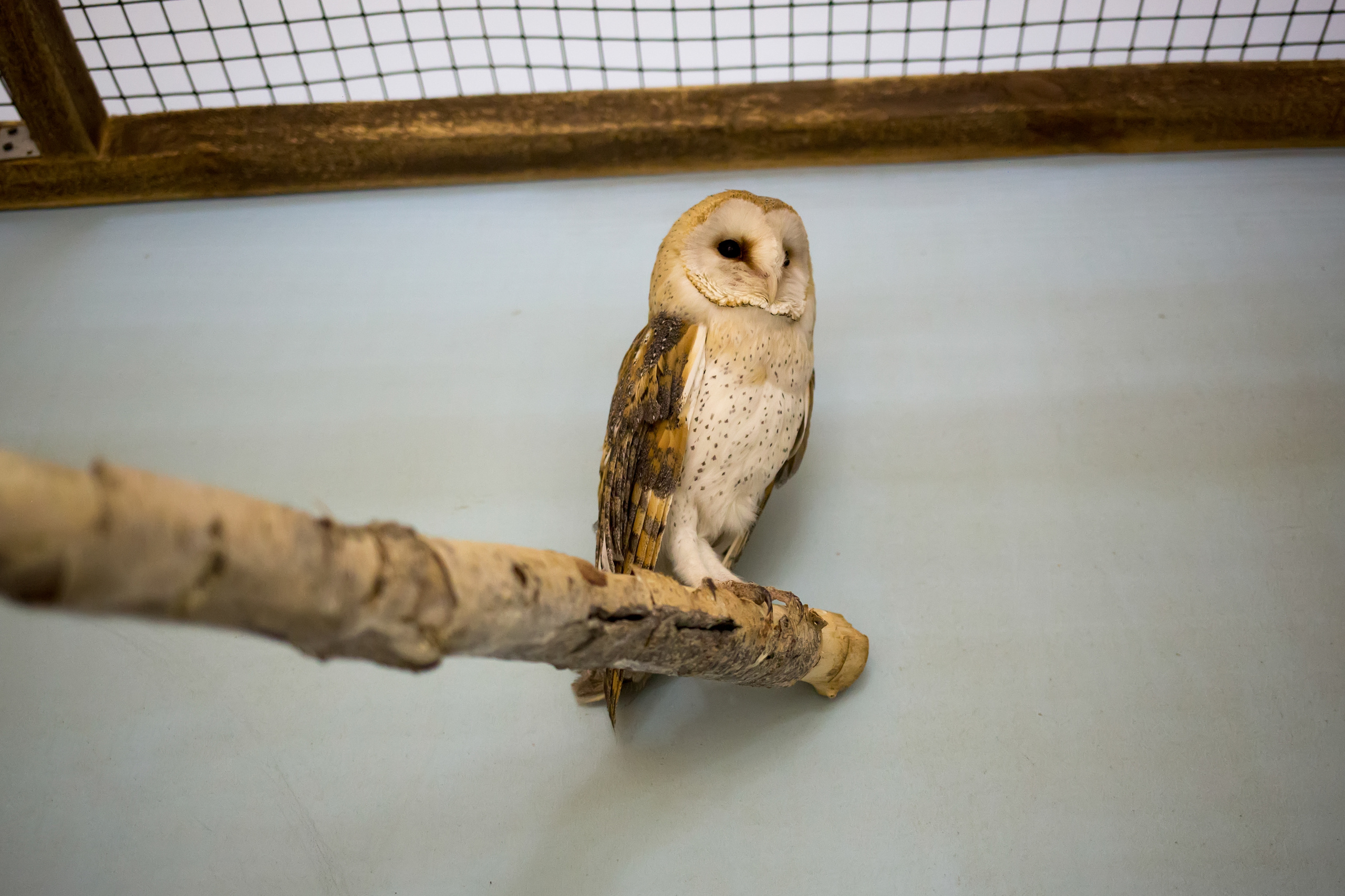 Зоопарк "Зверюшки". Фотограф Сонкина Татьяна