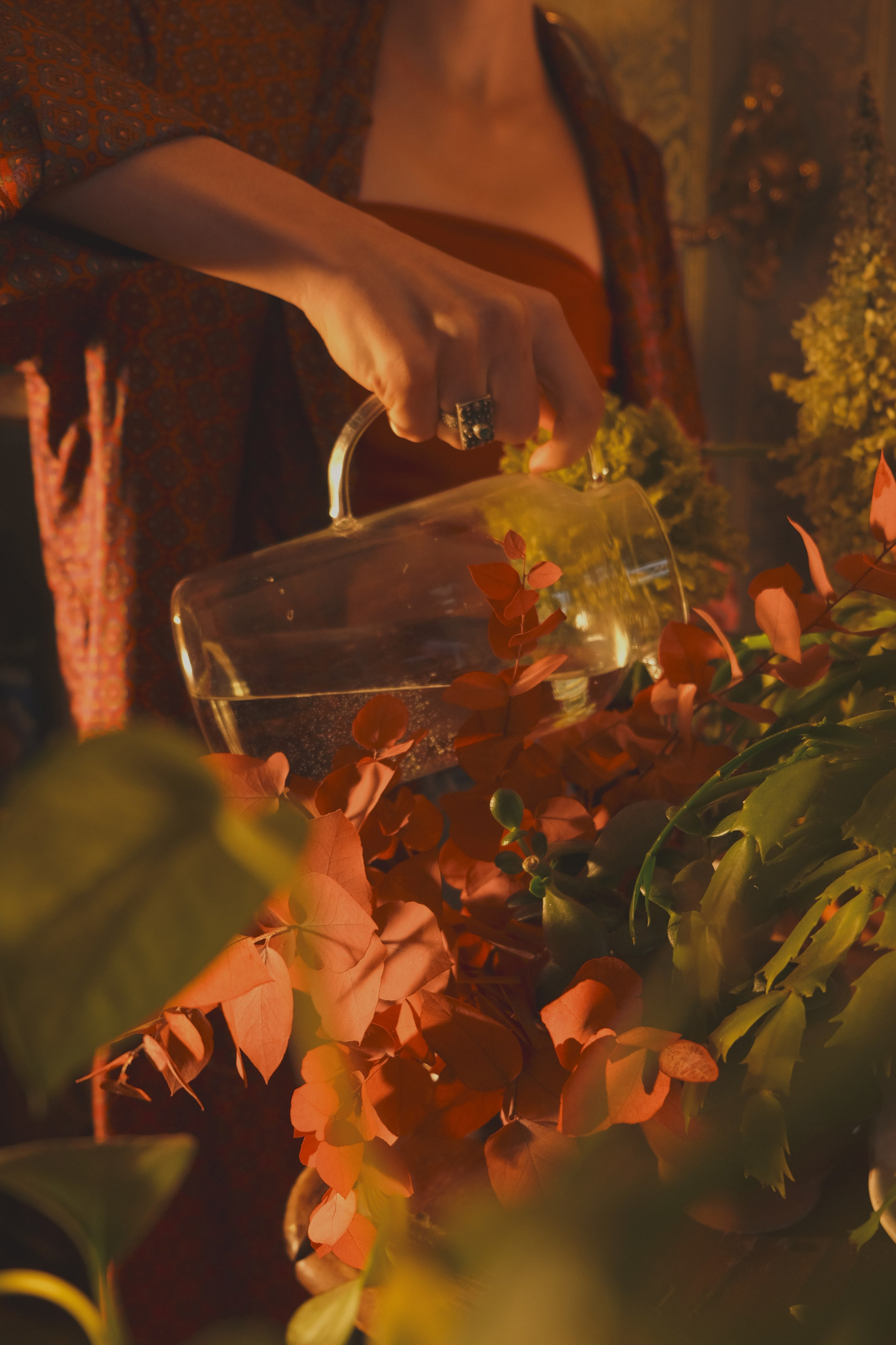 What We do in The Shadows. Фотограф Настя Лев