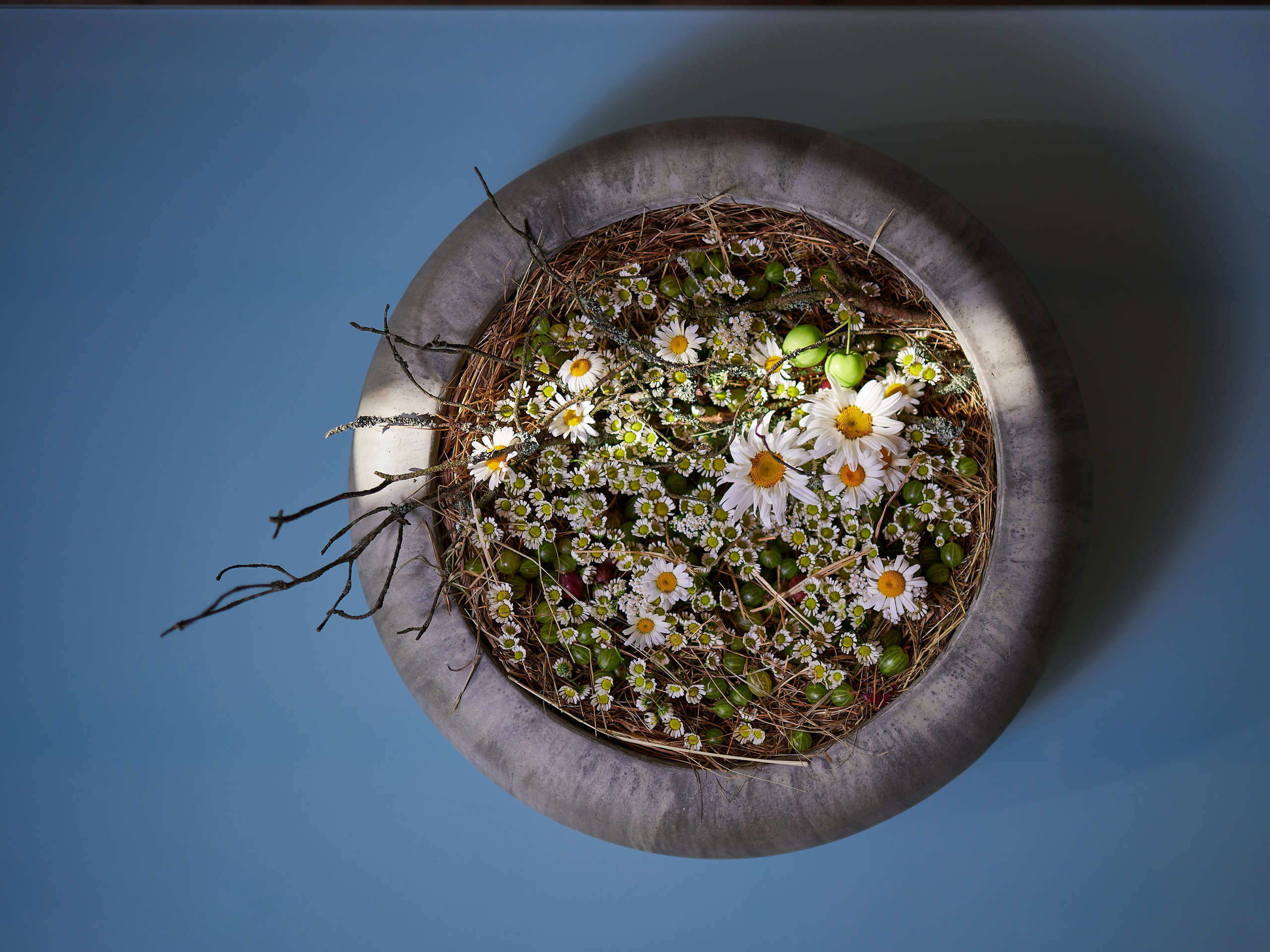 Съемка работ Шаровой Ольги для FloralFundamentals. Флористическая, интерьерная и портретная съемка в Москве и Европе