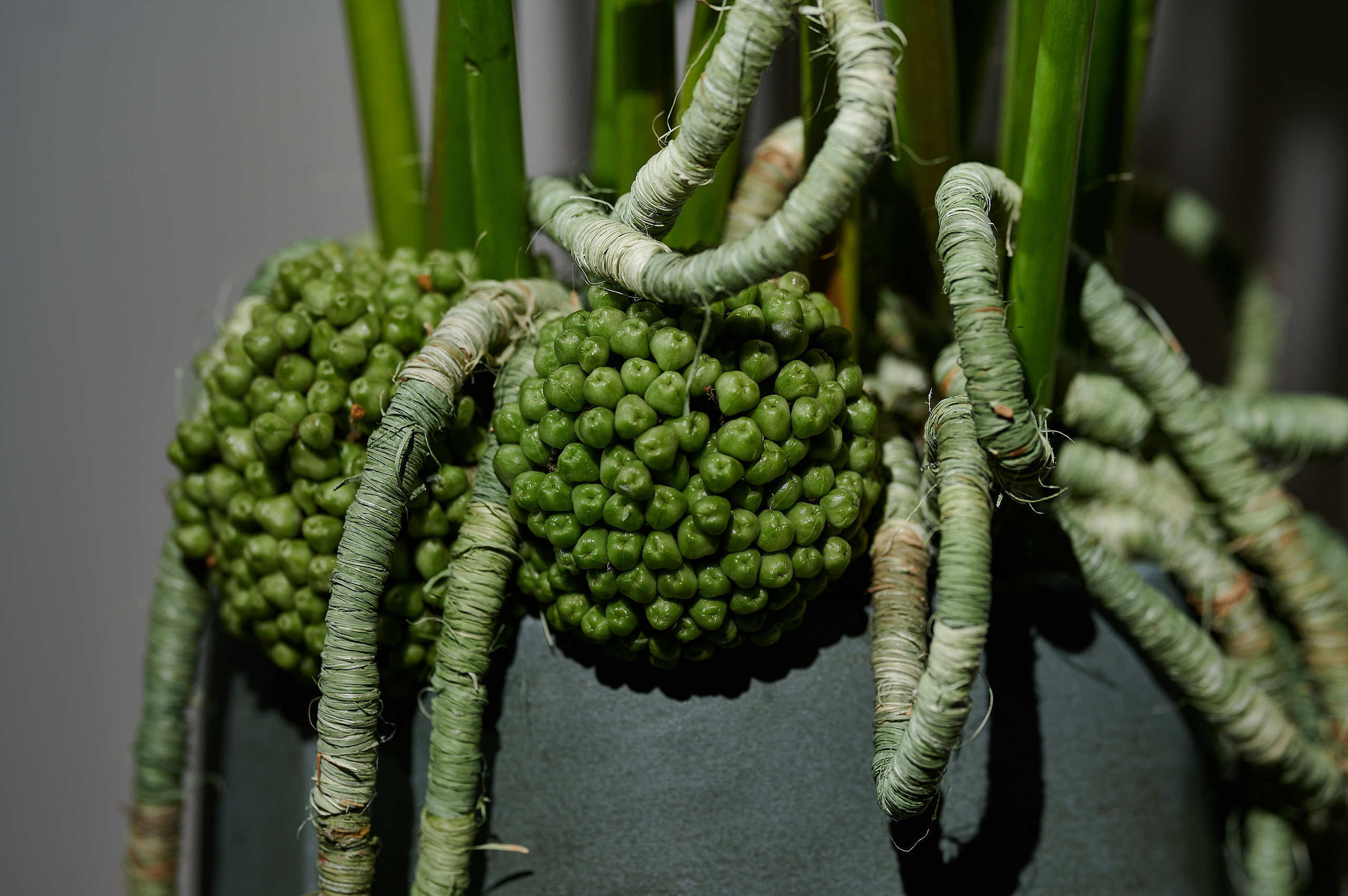 Съемка работ Шаровой Ольги для FloralFundamentals. Флористическая, интерьерная и портретная съемка в Москве и Европе