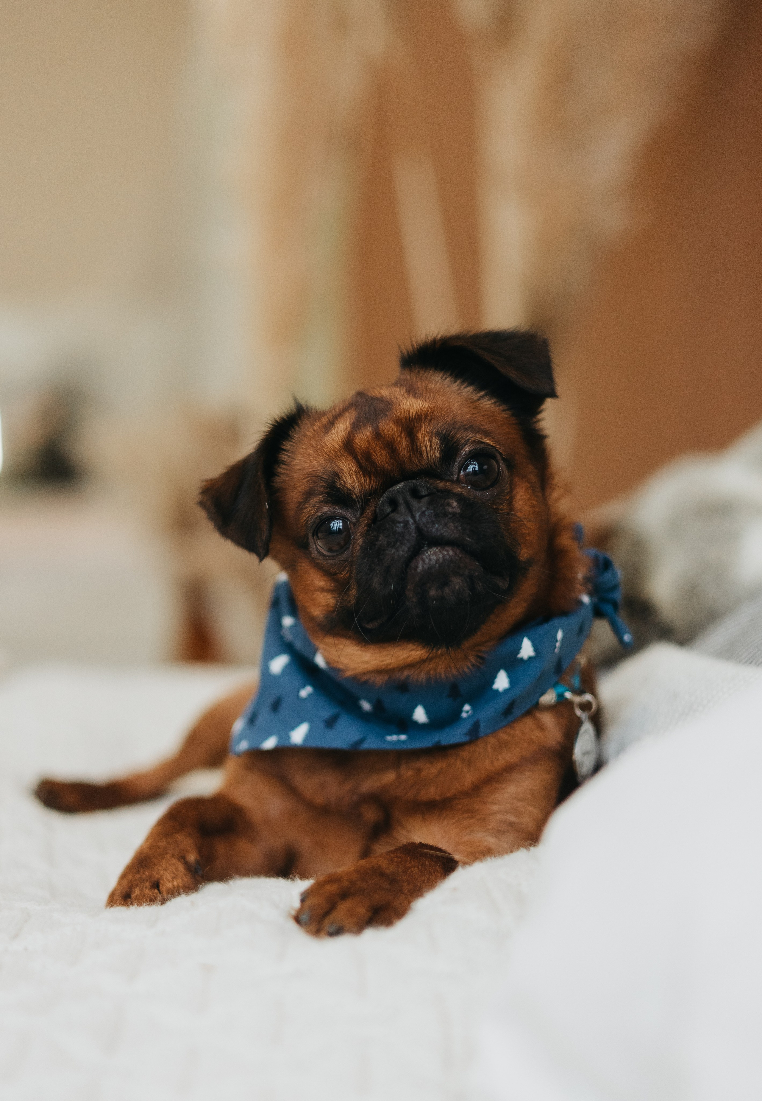 Фотограф животных Евгения Верцинская