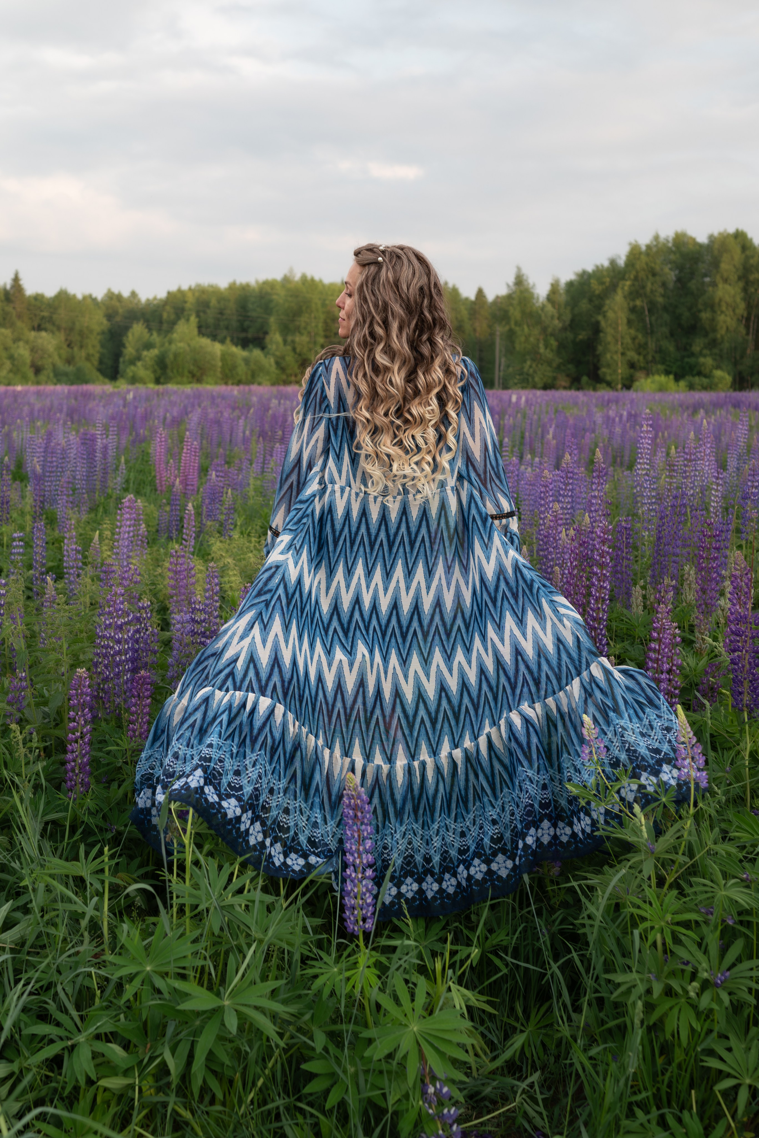 Люпины. Светлана Агалакова Фотограф