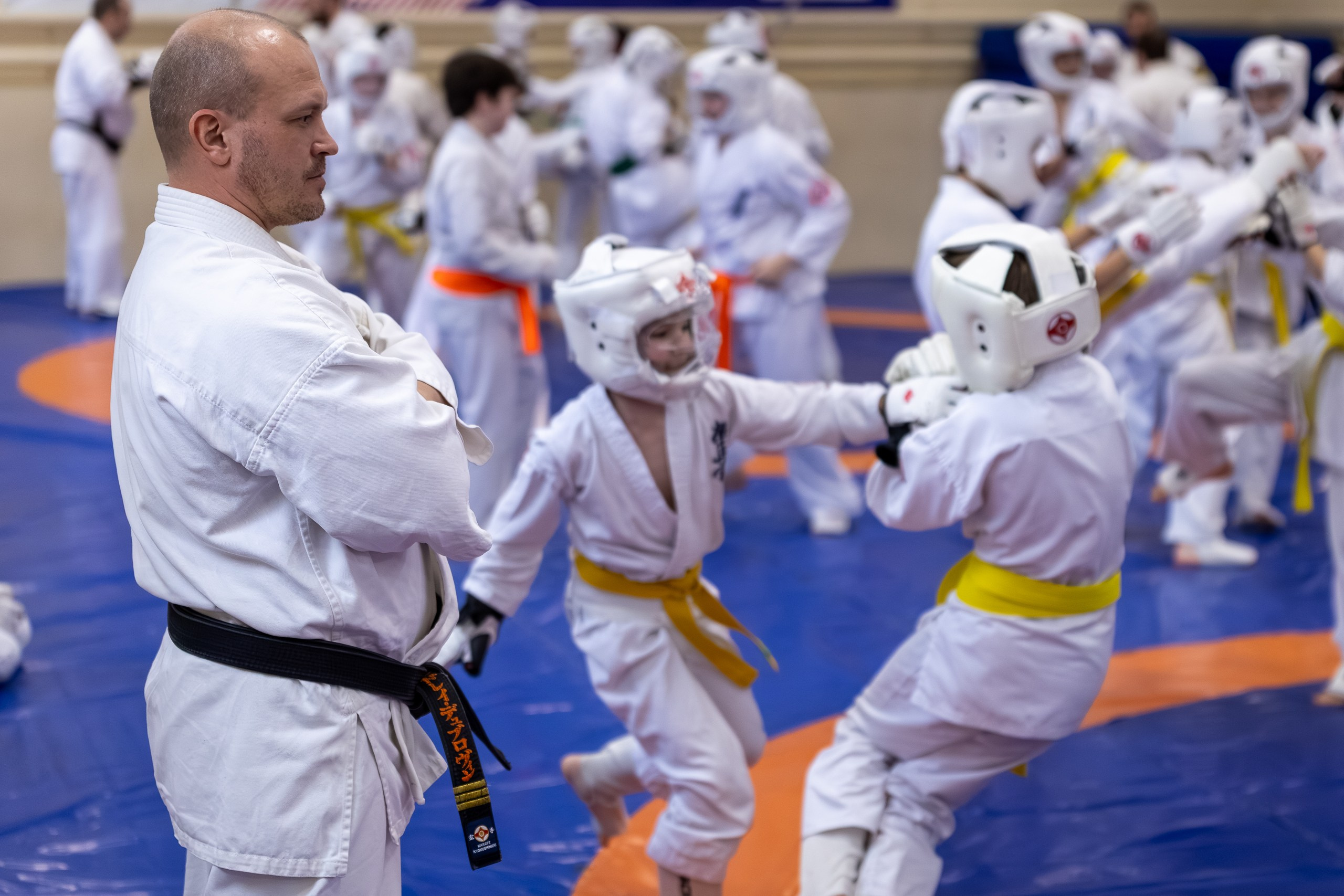 Открытый урок по карате февраль 2026. Главная