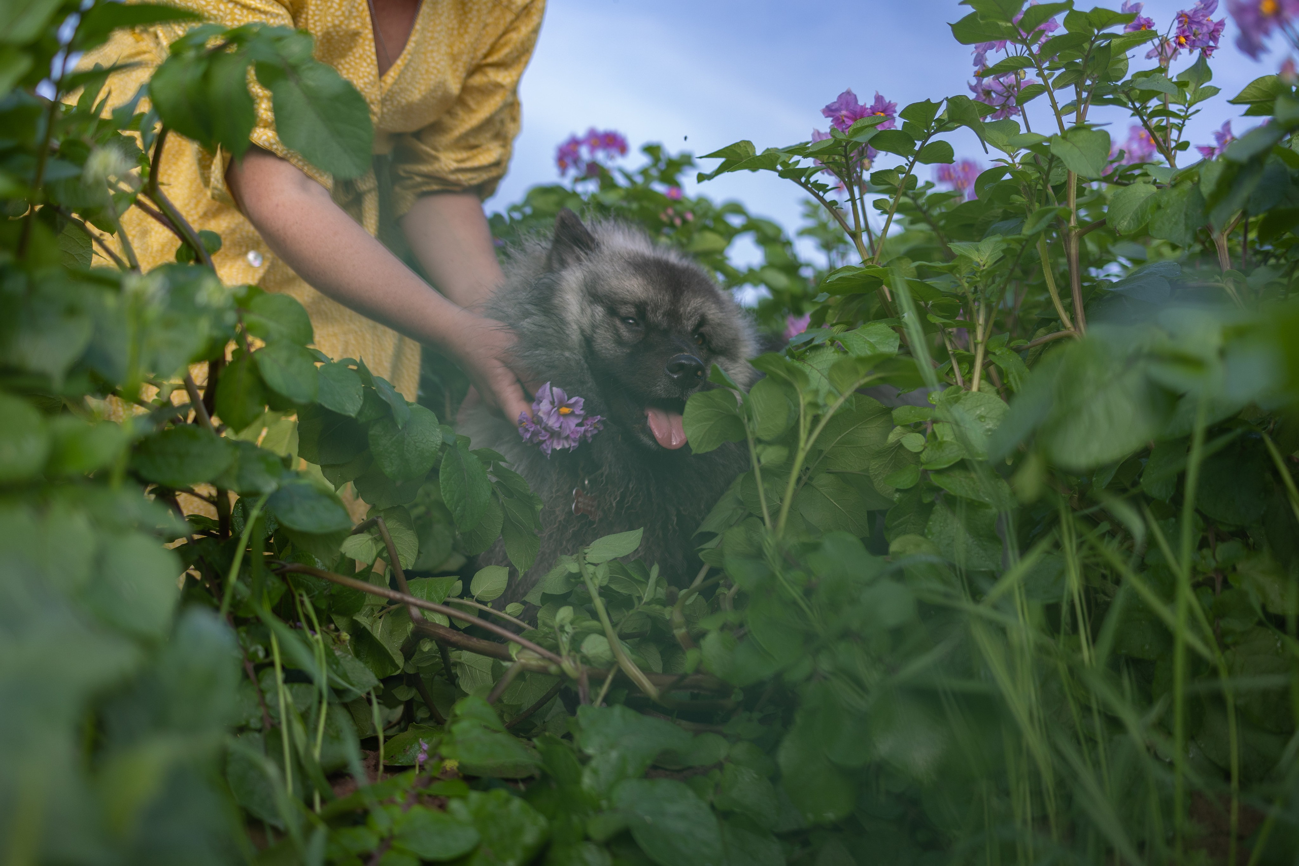 Вика, Аксель и Женя. Фотограф Ирина Астор