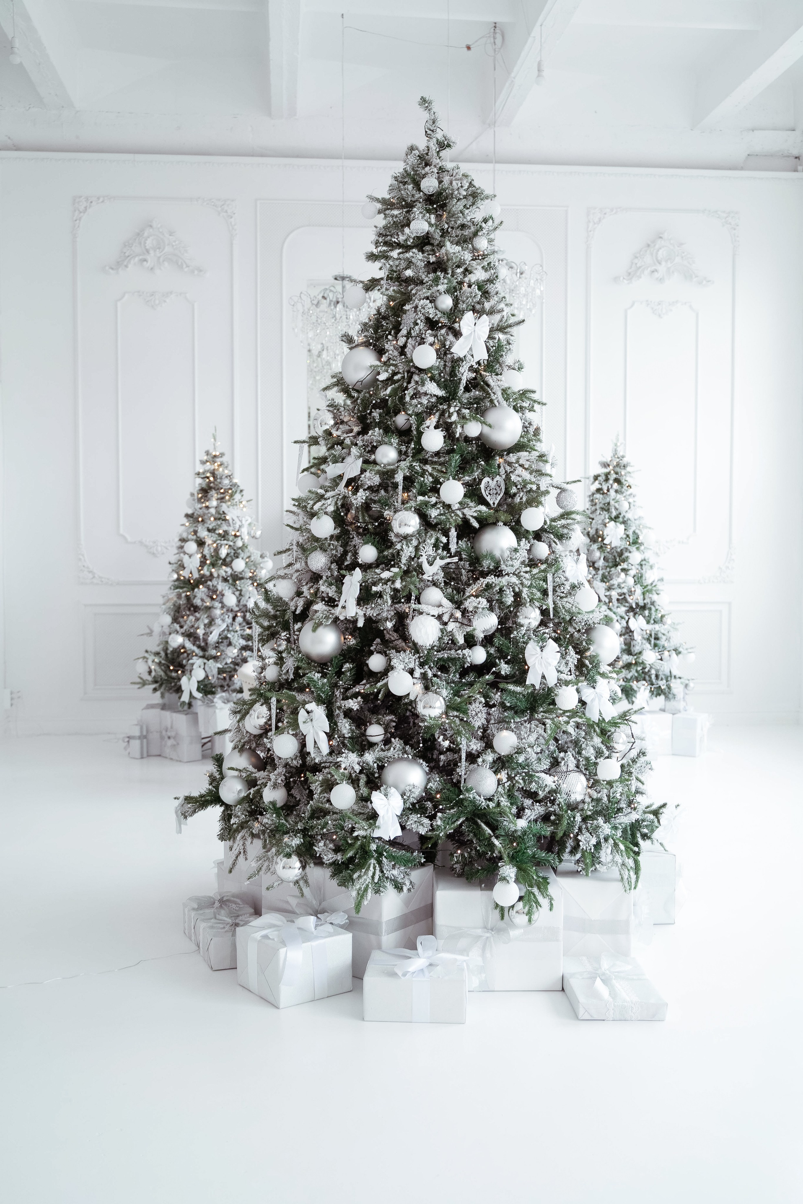 Зал Ренессанс. Фотограф г. Хабаровск. Семейные и индивидуальные съёмки