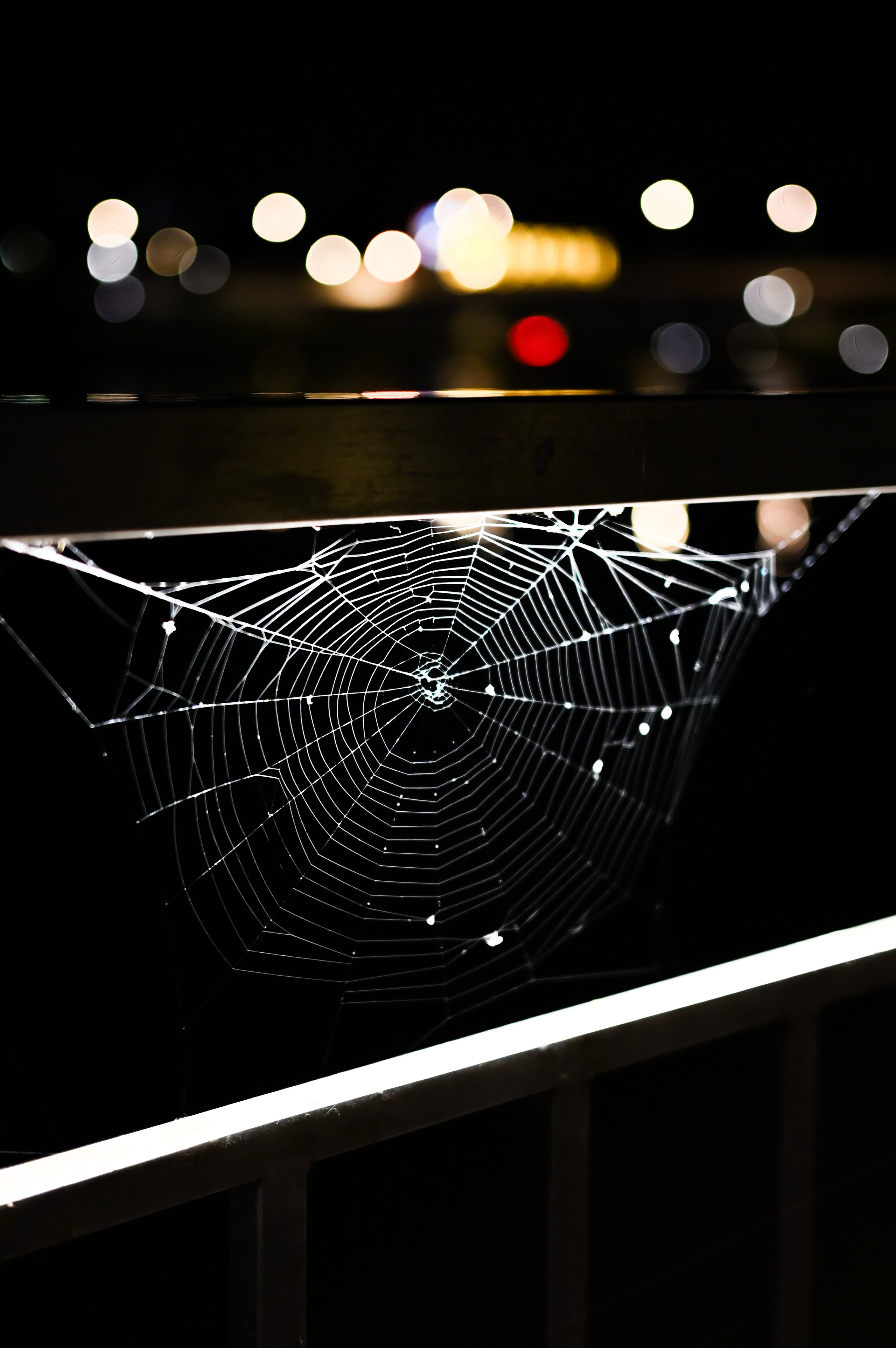 Стрит фото Москва. Фотограф Лобанов Антон, г. Москва