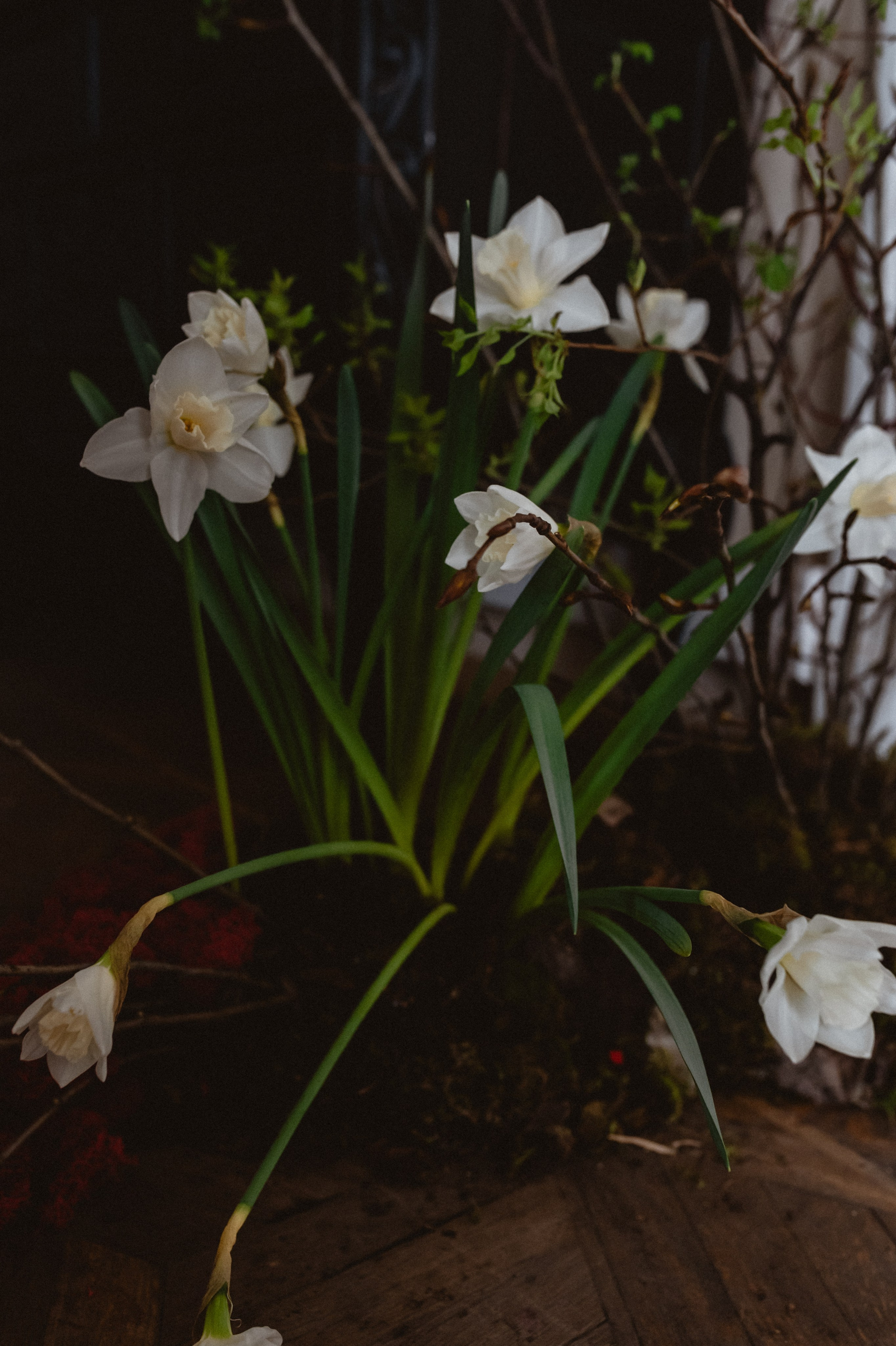 Эрнест & Аня. Оформление свадеб, декор свадеб Вера Маркова, Москва