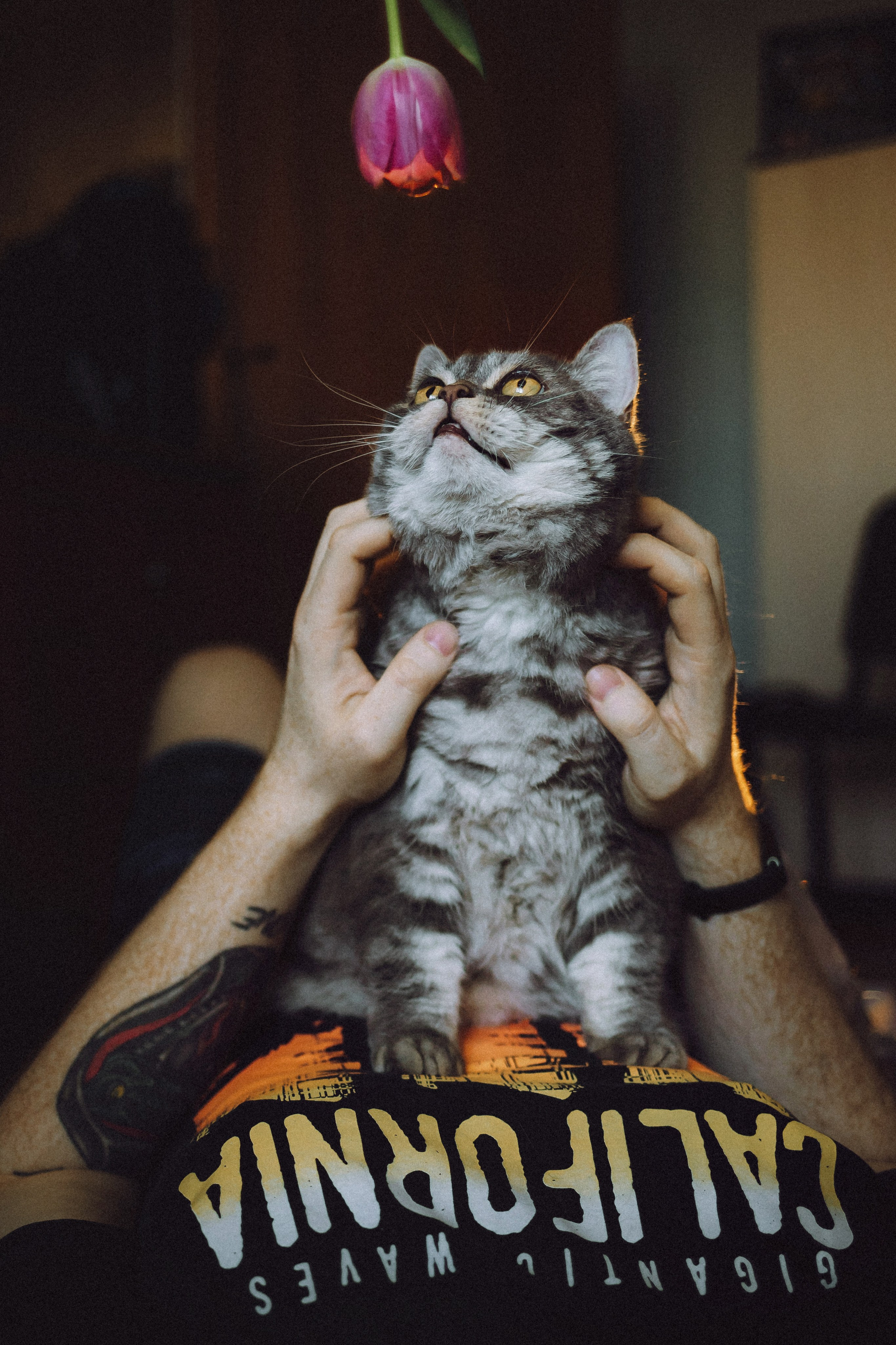 Яся и ее семья