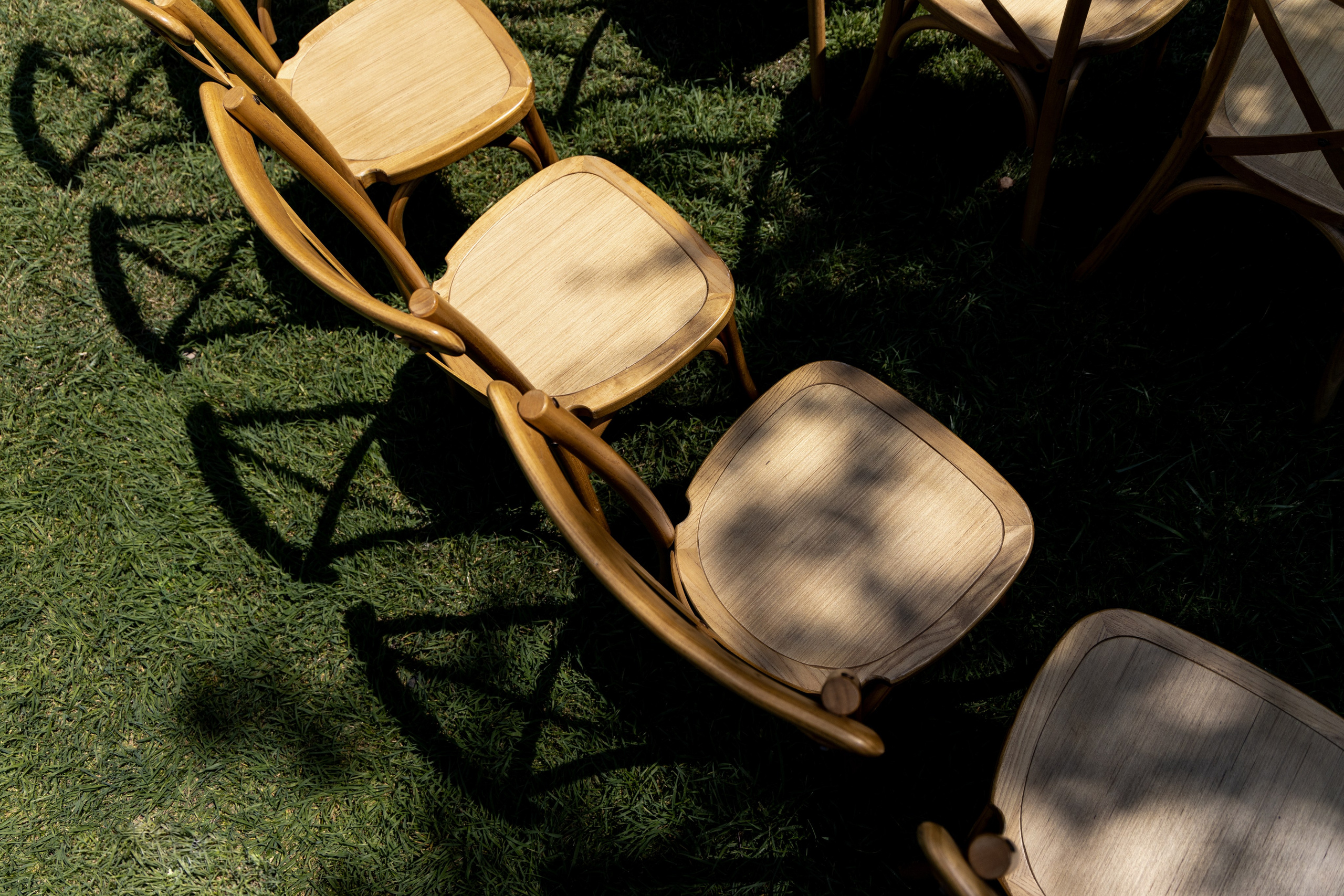 Цитрусовые. Свадебный фотограф. Краснодар, Сочи, Новороссийск. Вадим Мерье