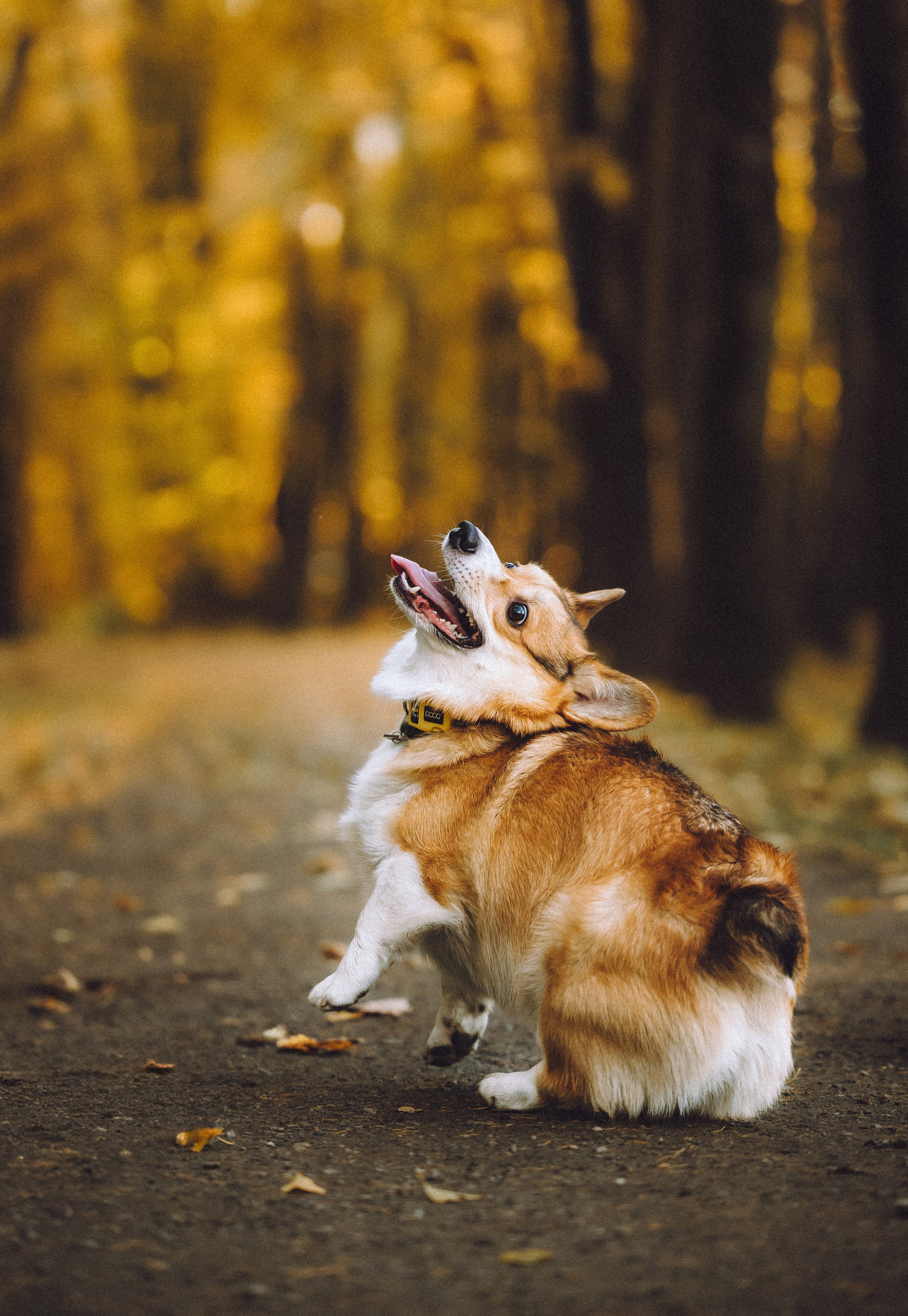 Карина, Даня и Аркаша