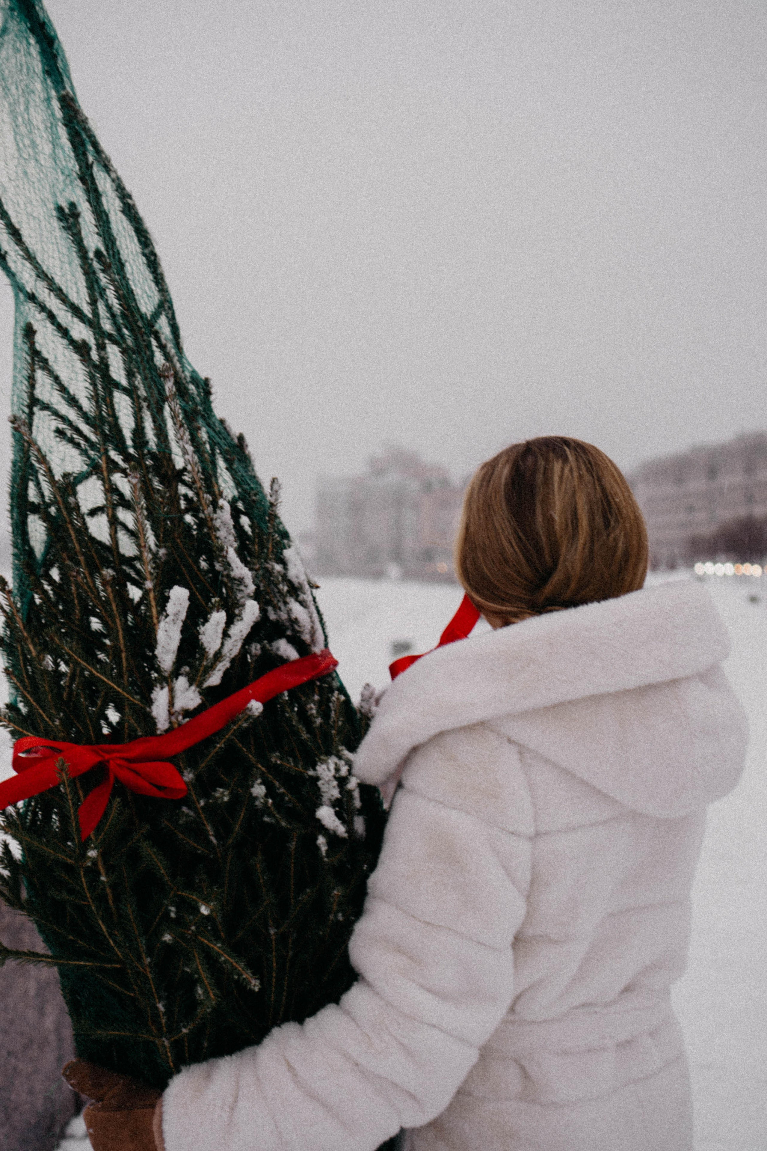 Новогодняя. Профессиональный фотограф, Санкт-Петербург — Виктория Богомолова