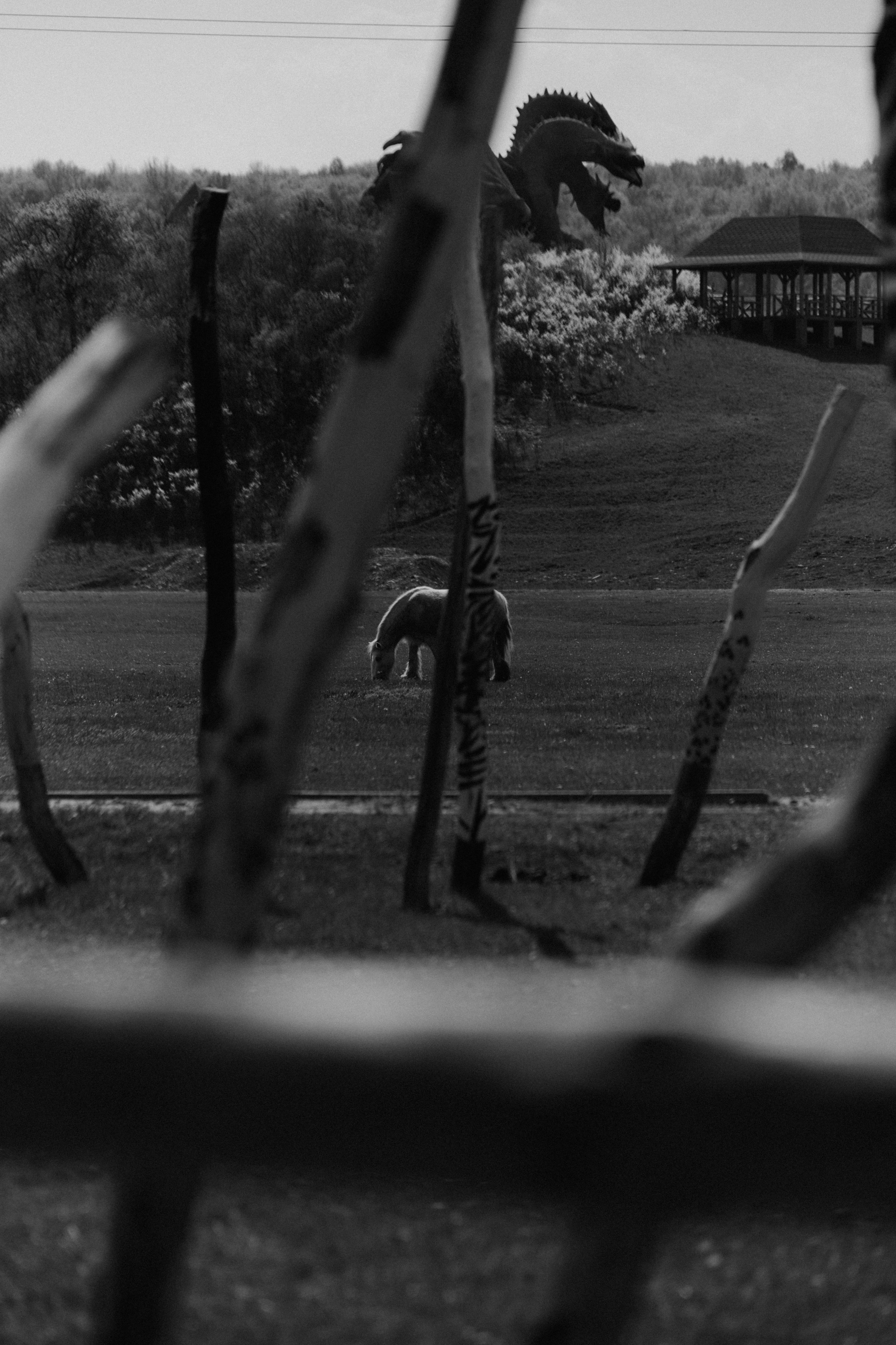 BAON x Кудыкина Гора. Фотограф Сурков Никита