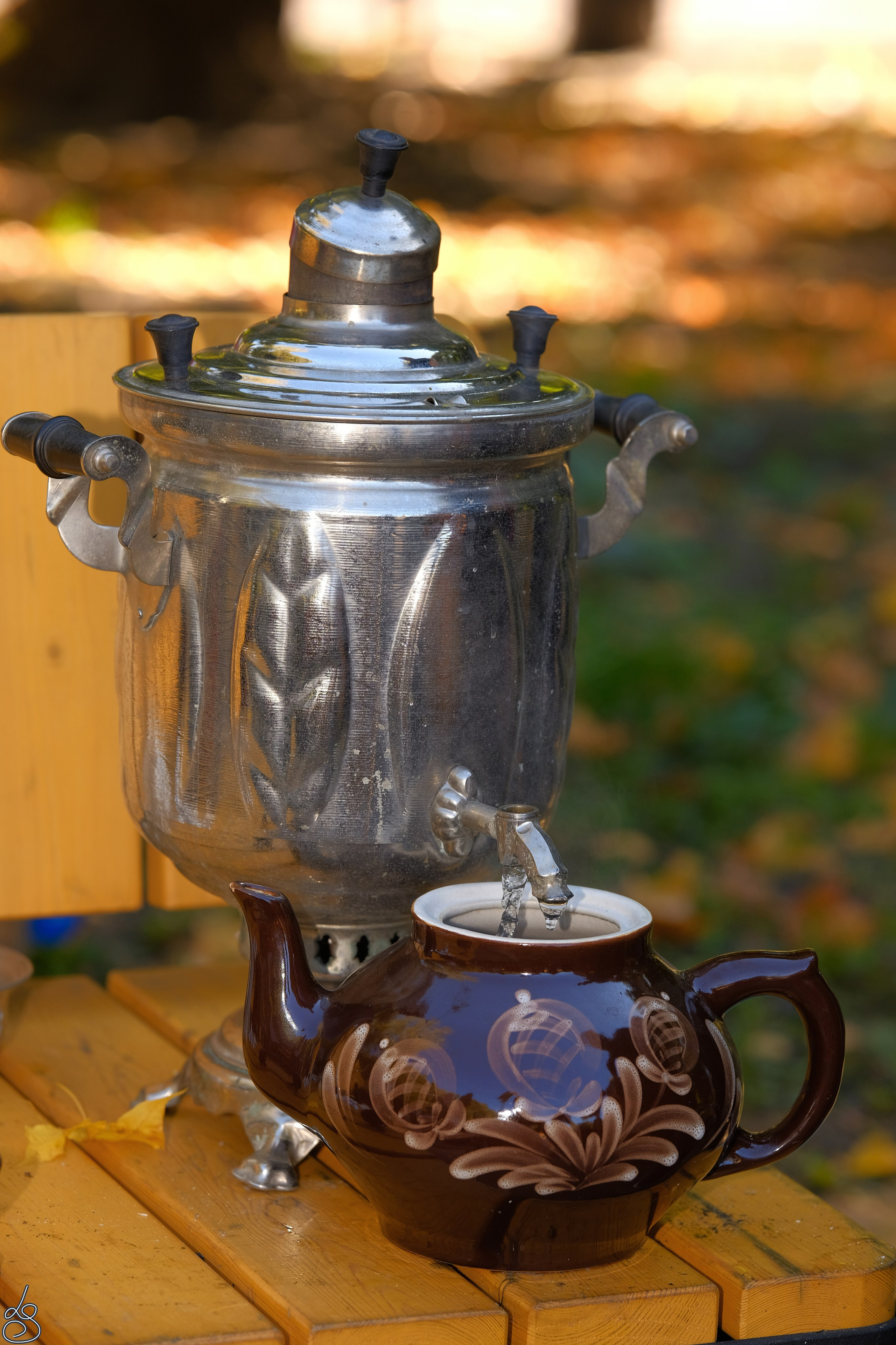 День Тульской губернии. Лиза Рязанцева