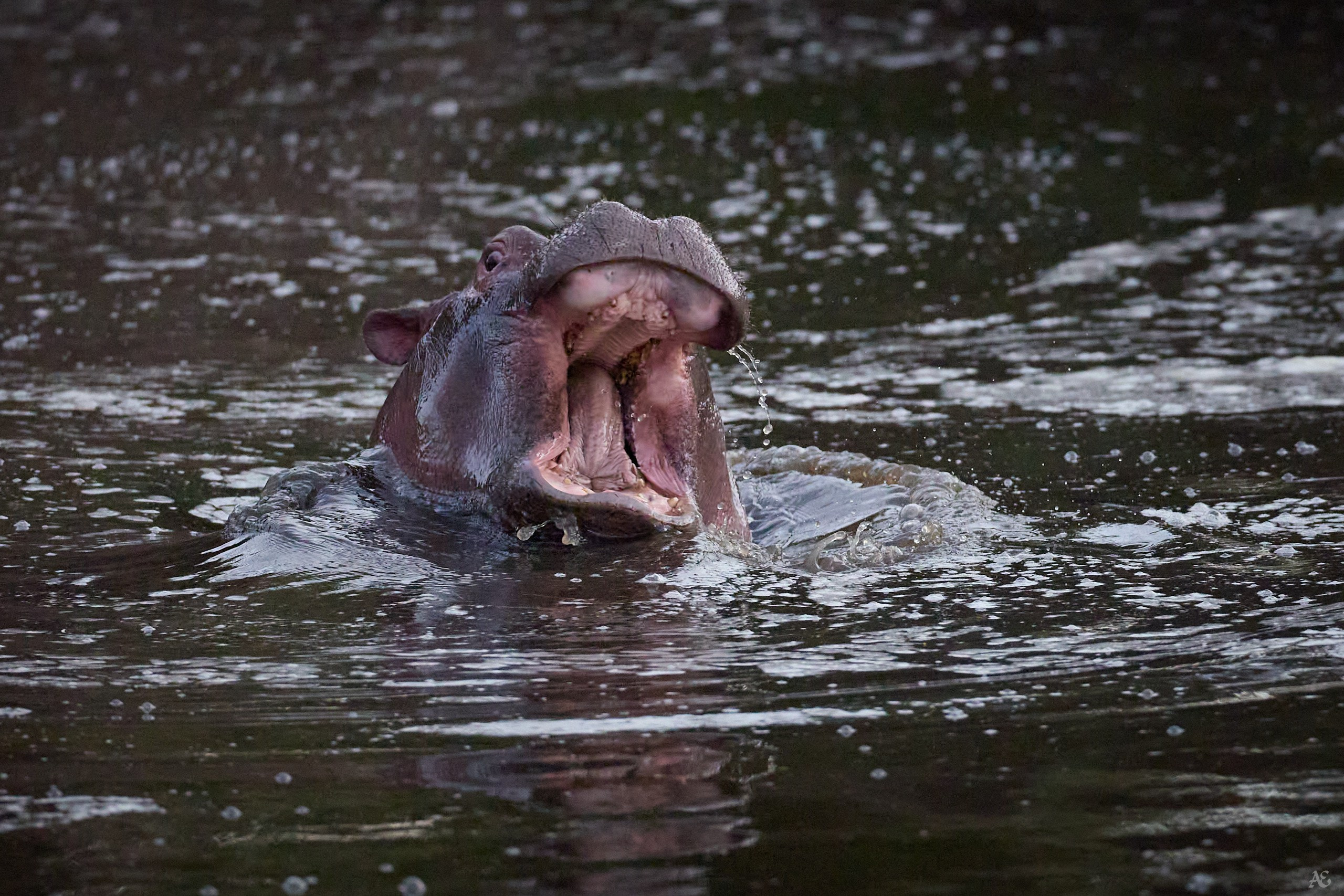 Последнее предупреждение