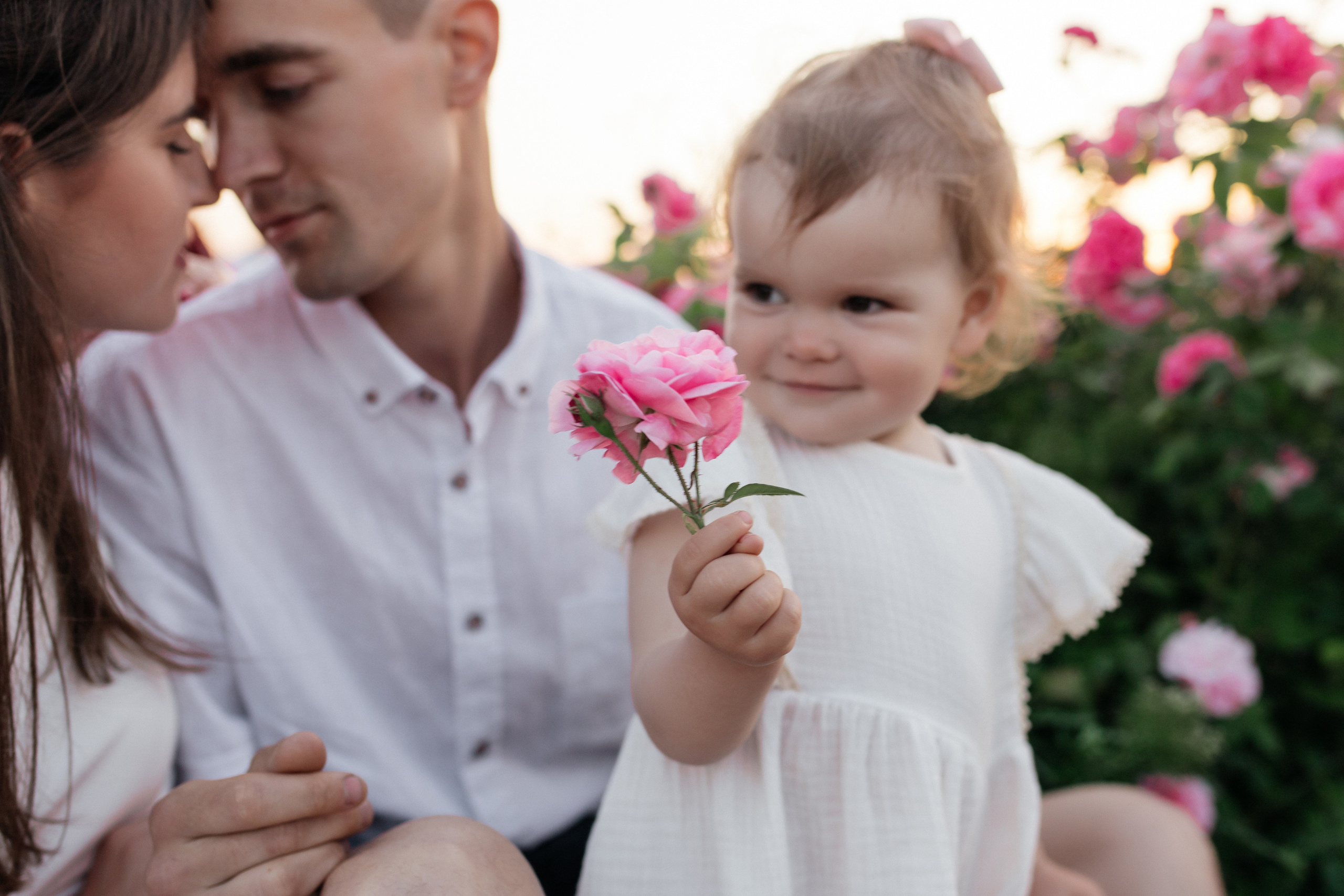 Rose. ФОТОГРАФ