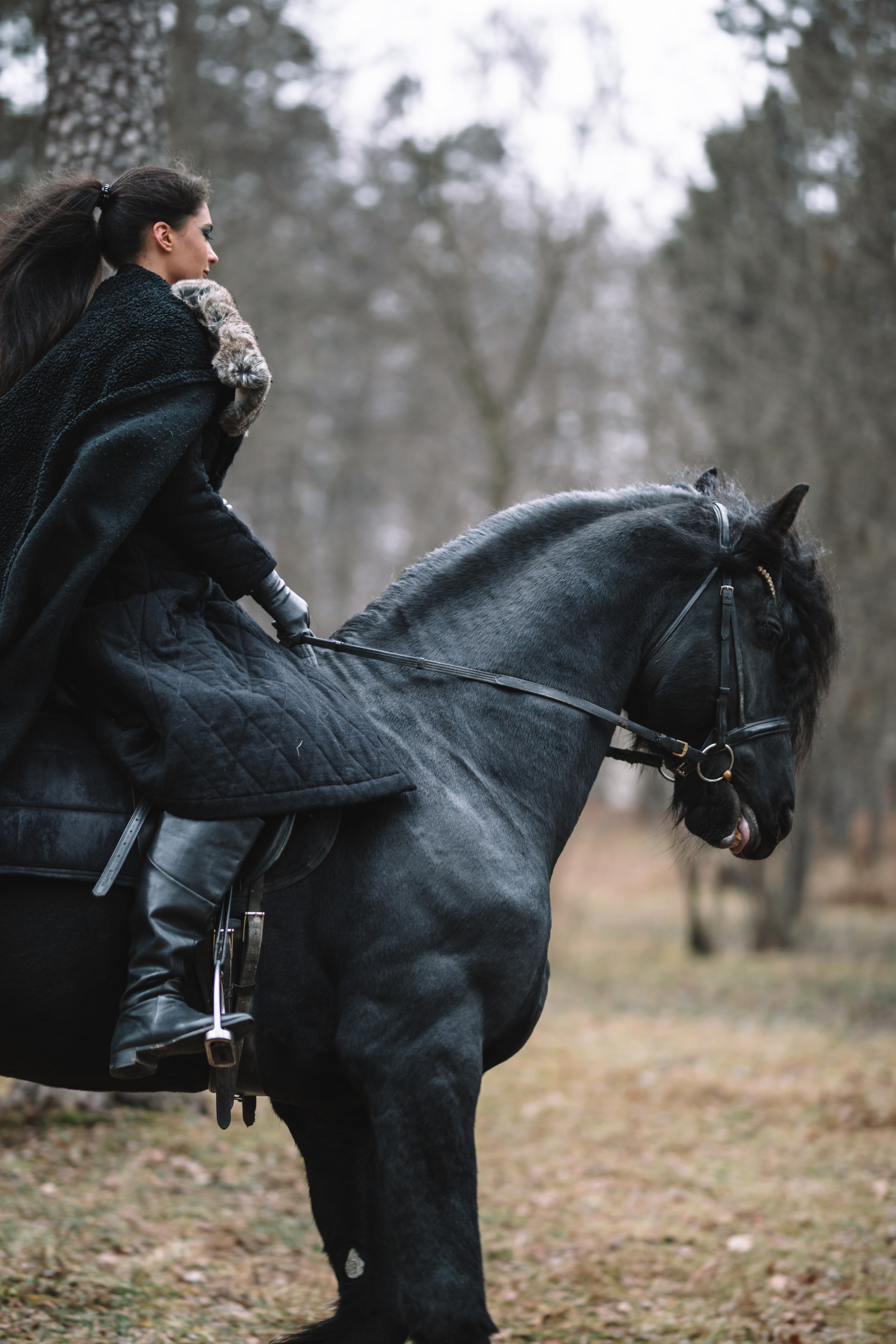 Наташа с фризом в костюме викинга. Фотосессии с лошадьми