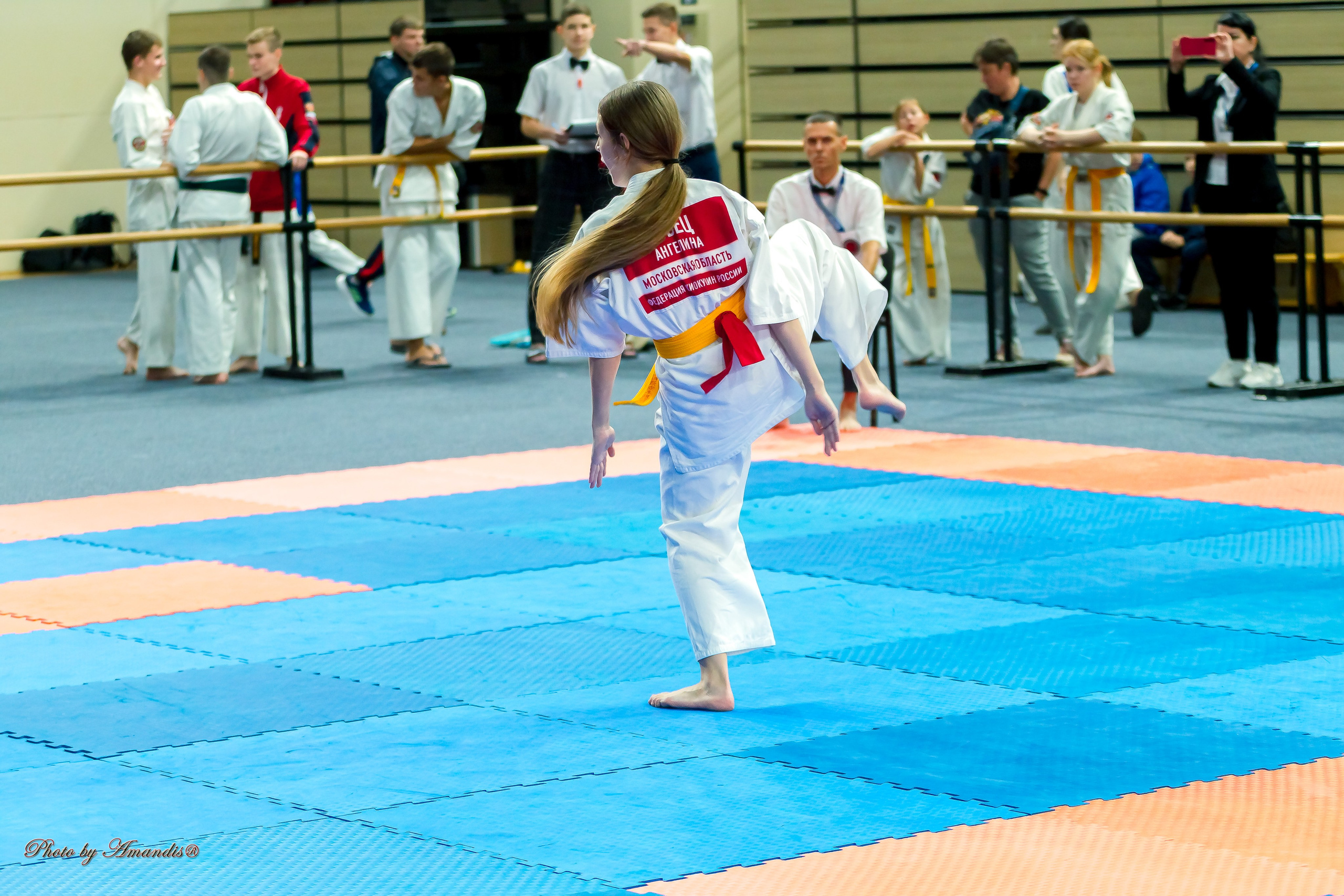 Первенство Московской области по Киокушин в СК «Жаворонки». Репортажная съемка в Москве и области. Анималистика