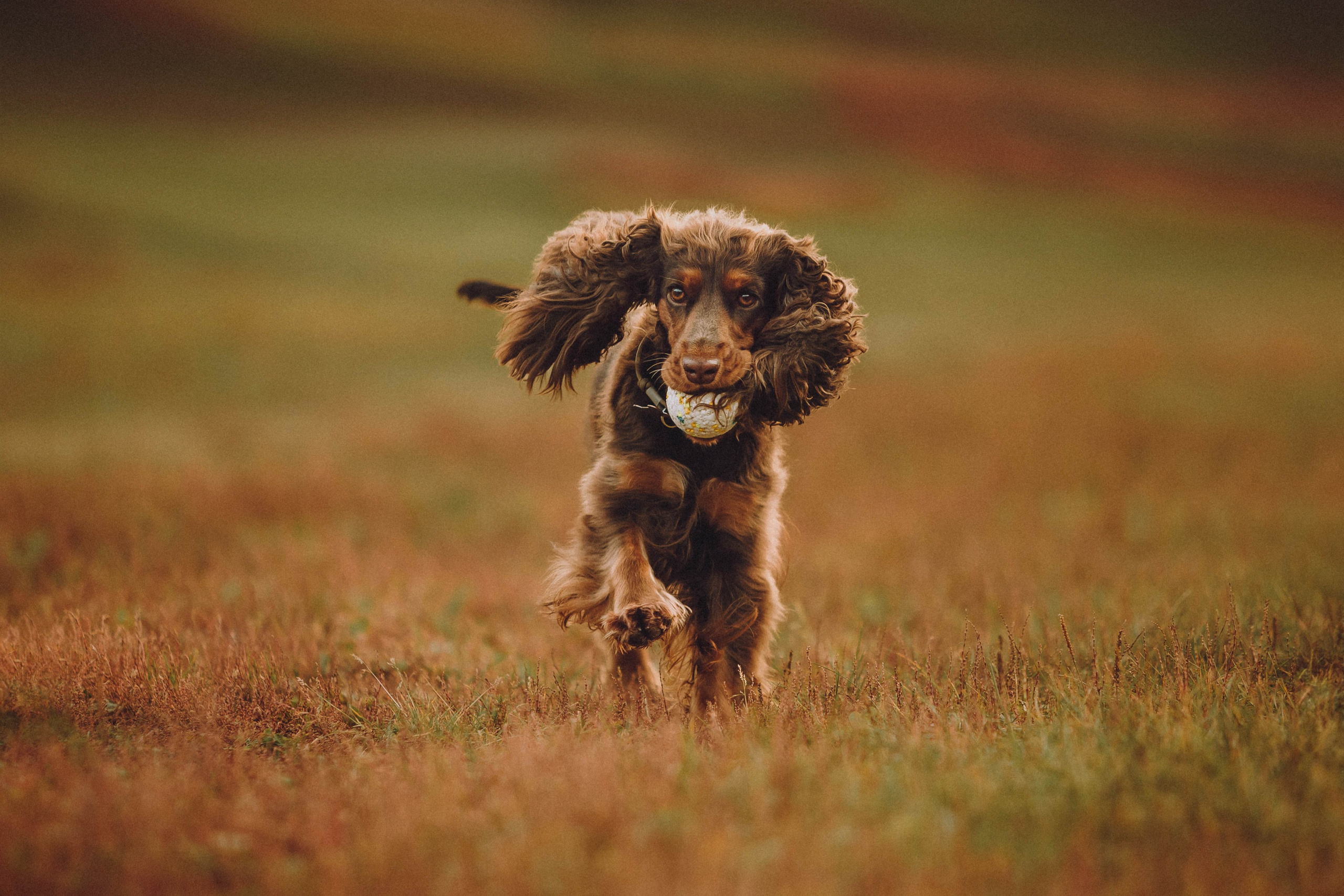 Настя, Саша и Эстер