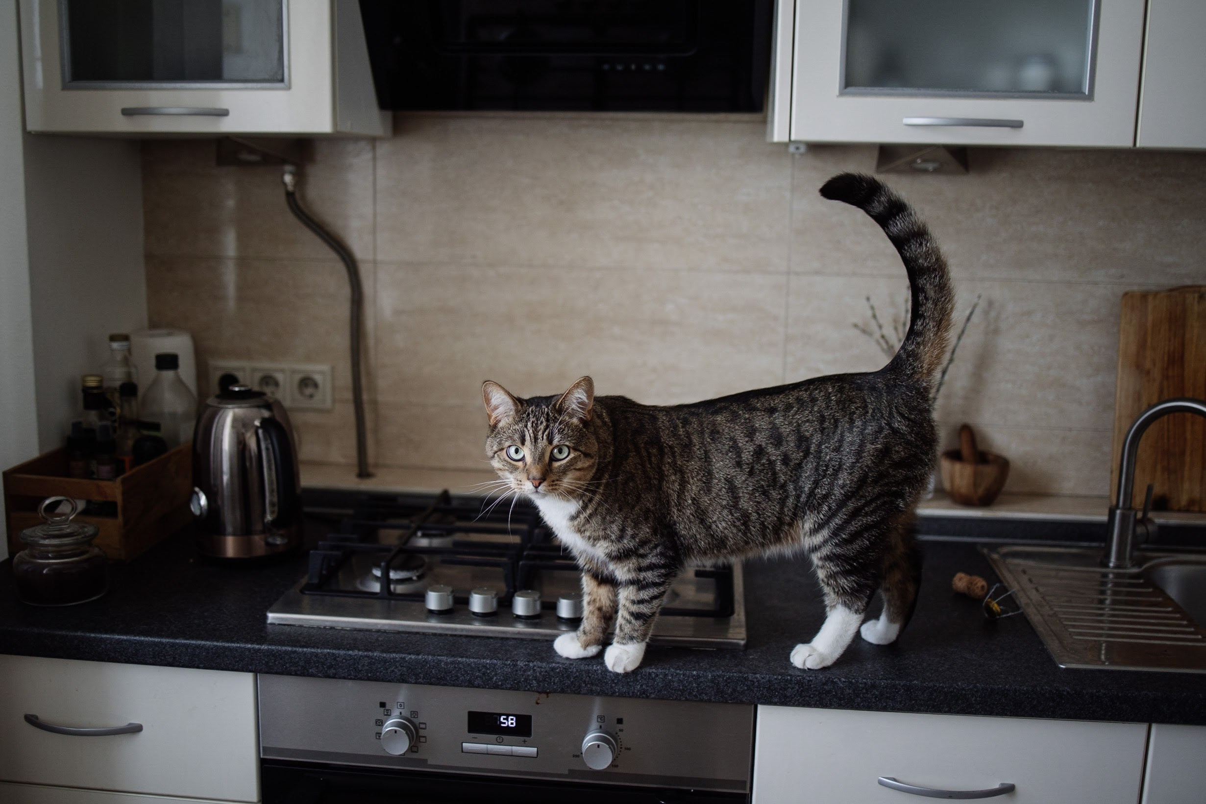 FIRE_WATER_BURN. Wedding photographer in Europe