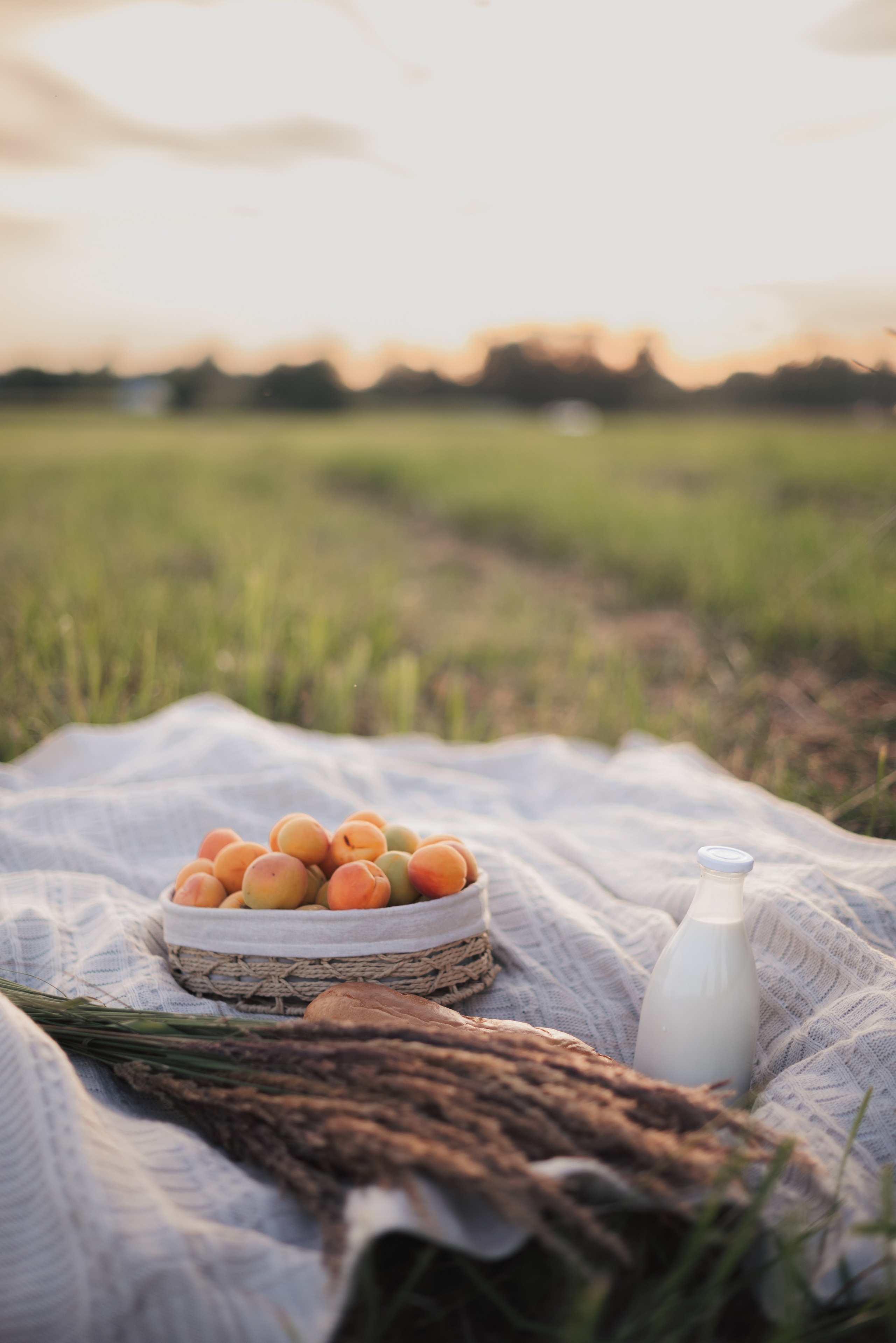 Ксения с семьей. Семейный и детский фотограф в Щелково Алена Дробот