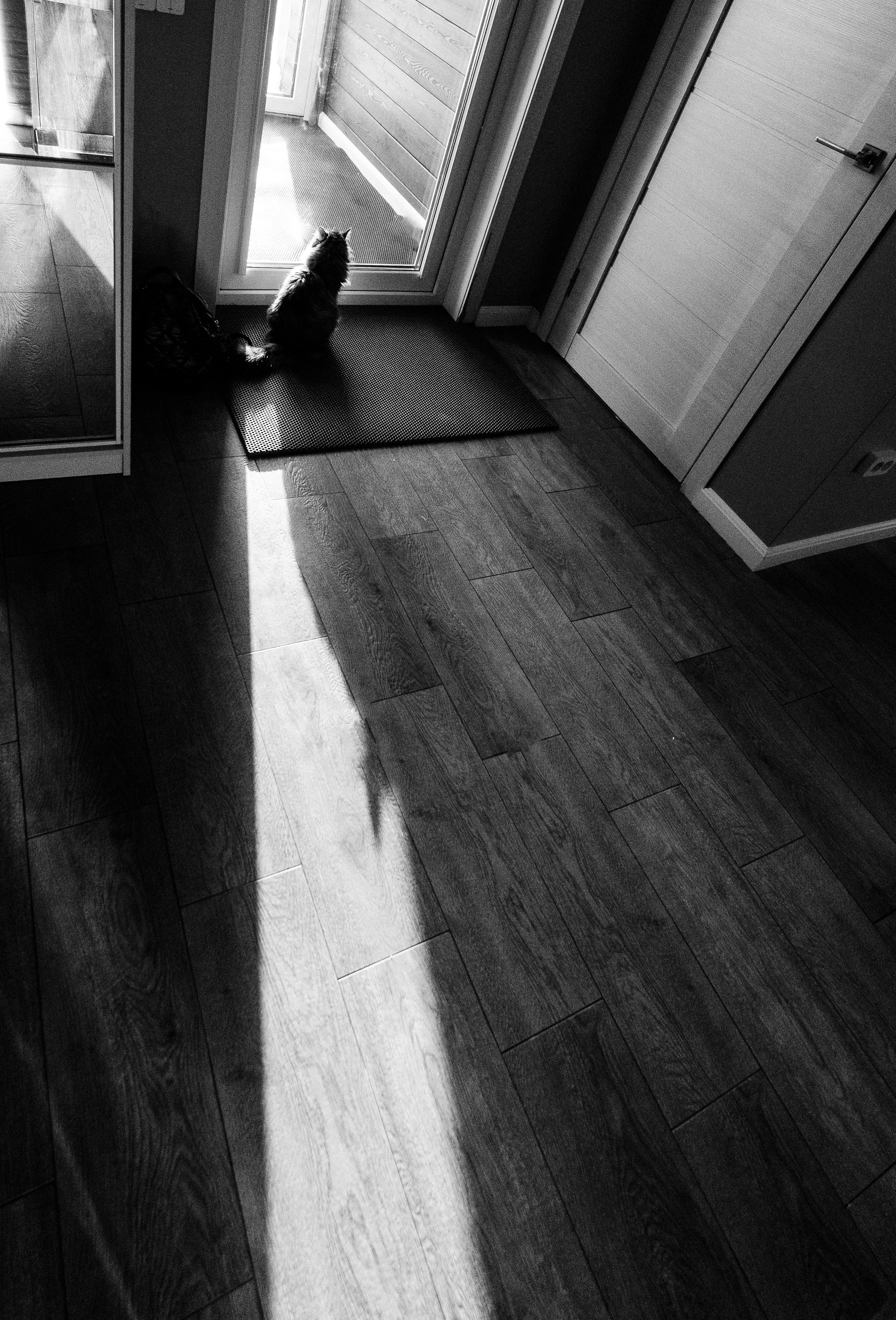 семейная фотосессия, семейнаяфотосьемка, фото семьи, детская фотография