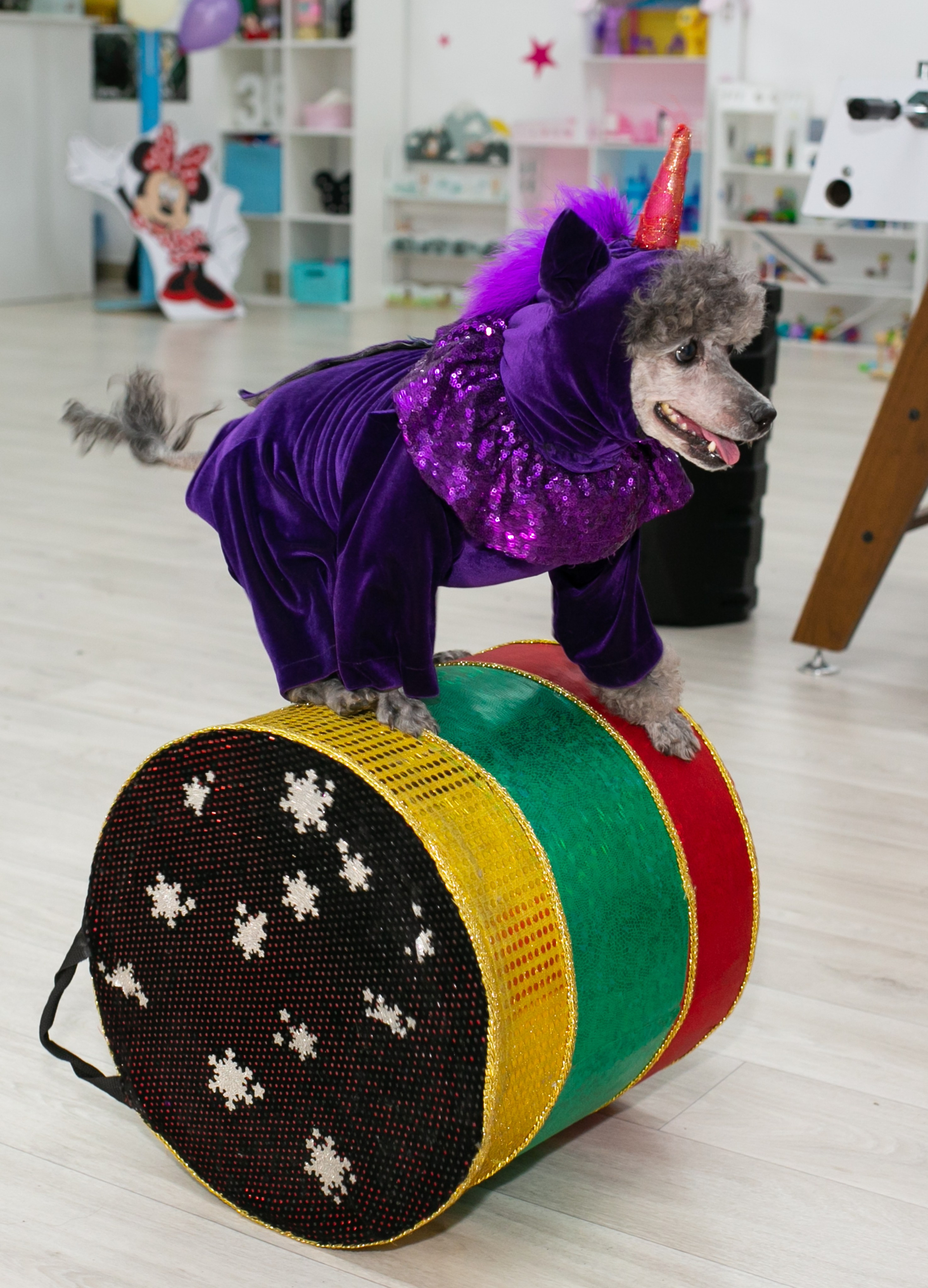 Праздники. Фотограф новорожденных и семейный фотограф НСО г. Бердск Марина Львова