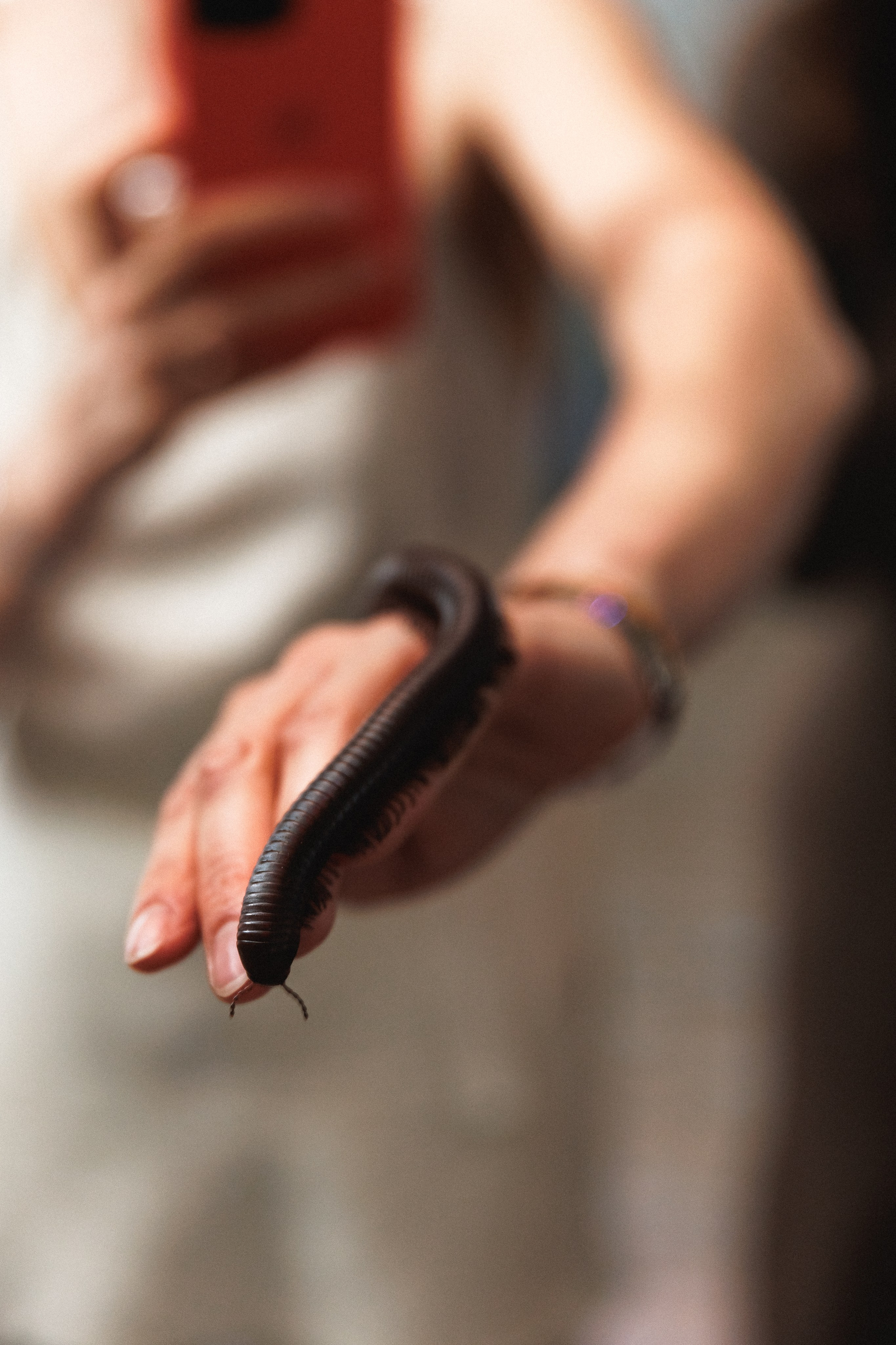 День Рождения Яны 19 лет