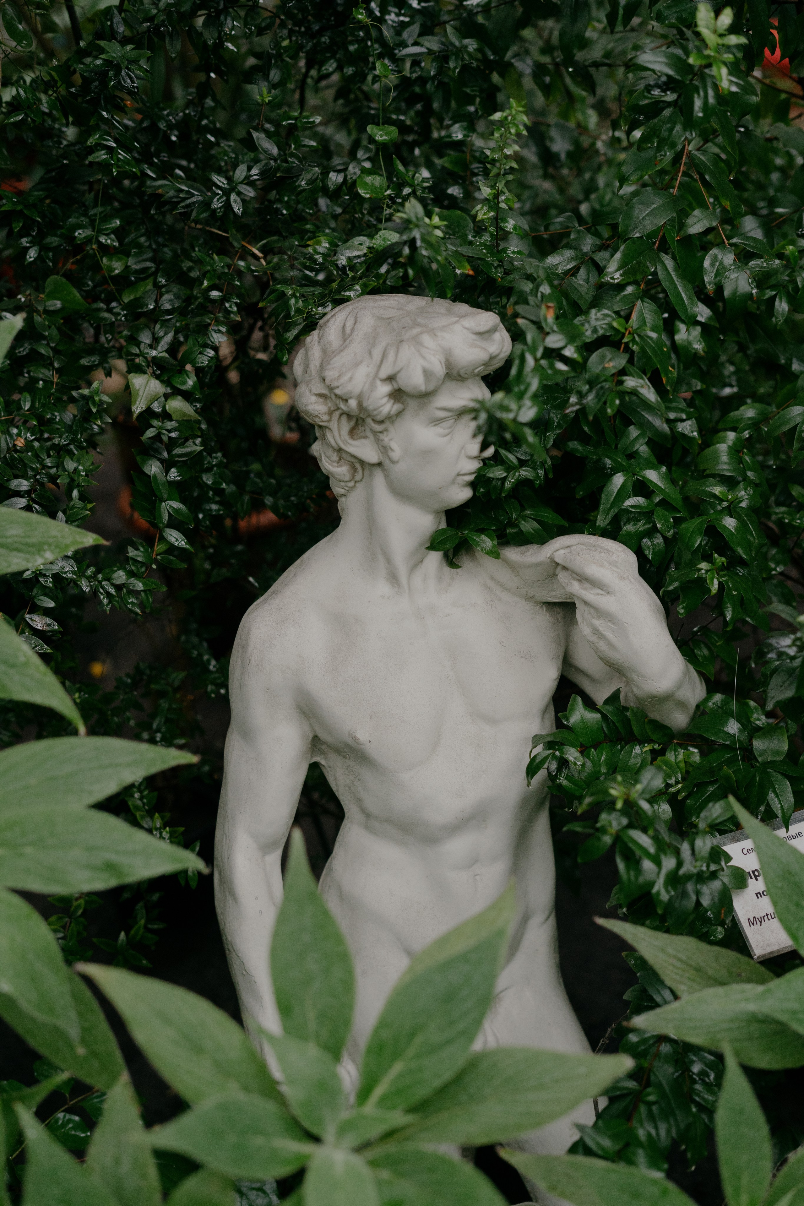 Елизавета Никита. Фотограф Томск Новосибирск Елизавета Вахтеева