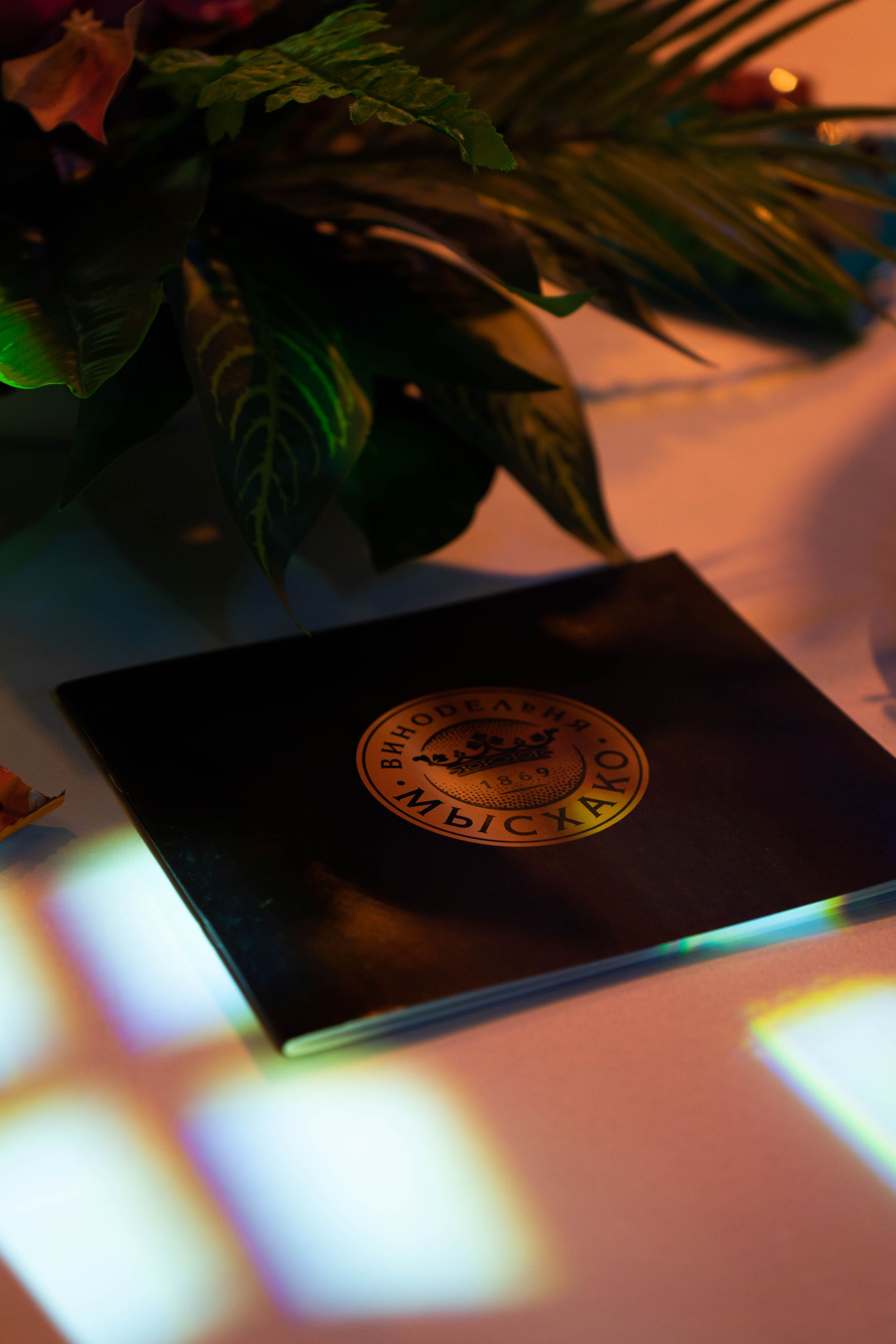 BLOGGER SUMMIT | Mercury space. Фотограф Абакумова Анастасия