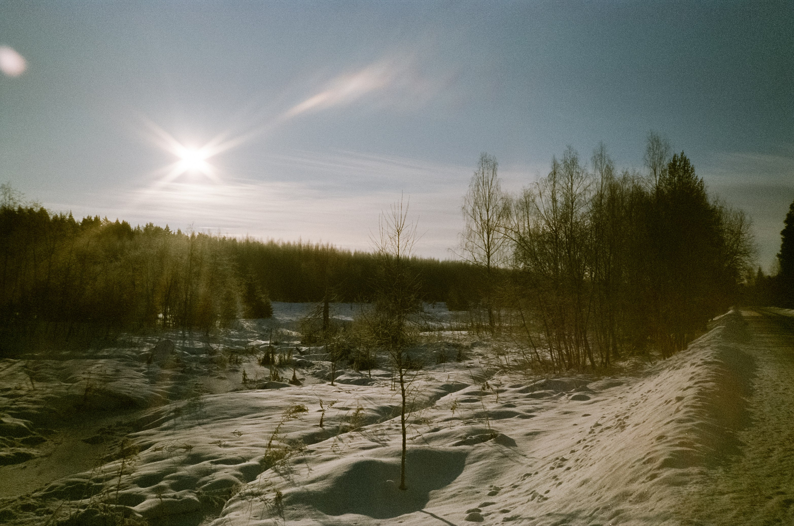Chinon Auto 3001 (2) / Fuji Eterna 250D (ISO 100) / Давыдовское, Лукин